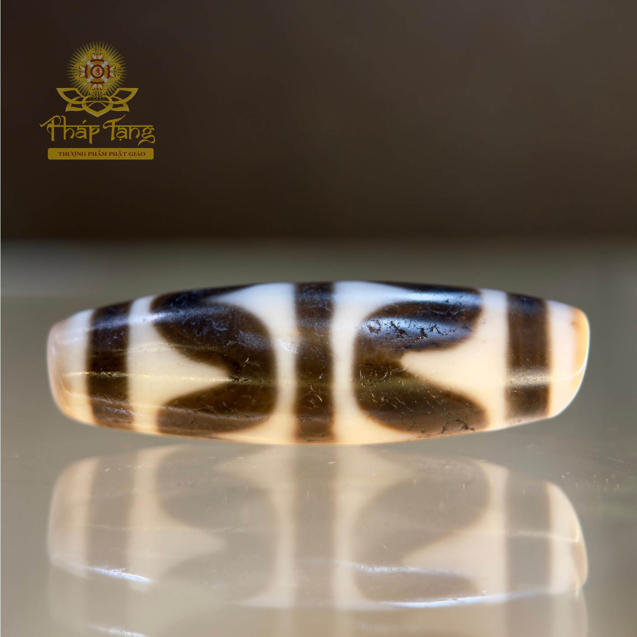 Dzi Nanh Cọp Kép Thân Ngọc Tibet (Sưu Tầm Độc Bản Từ Tibet)