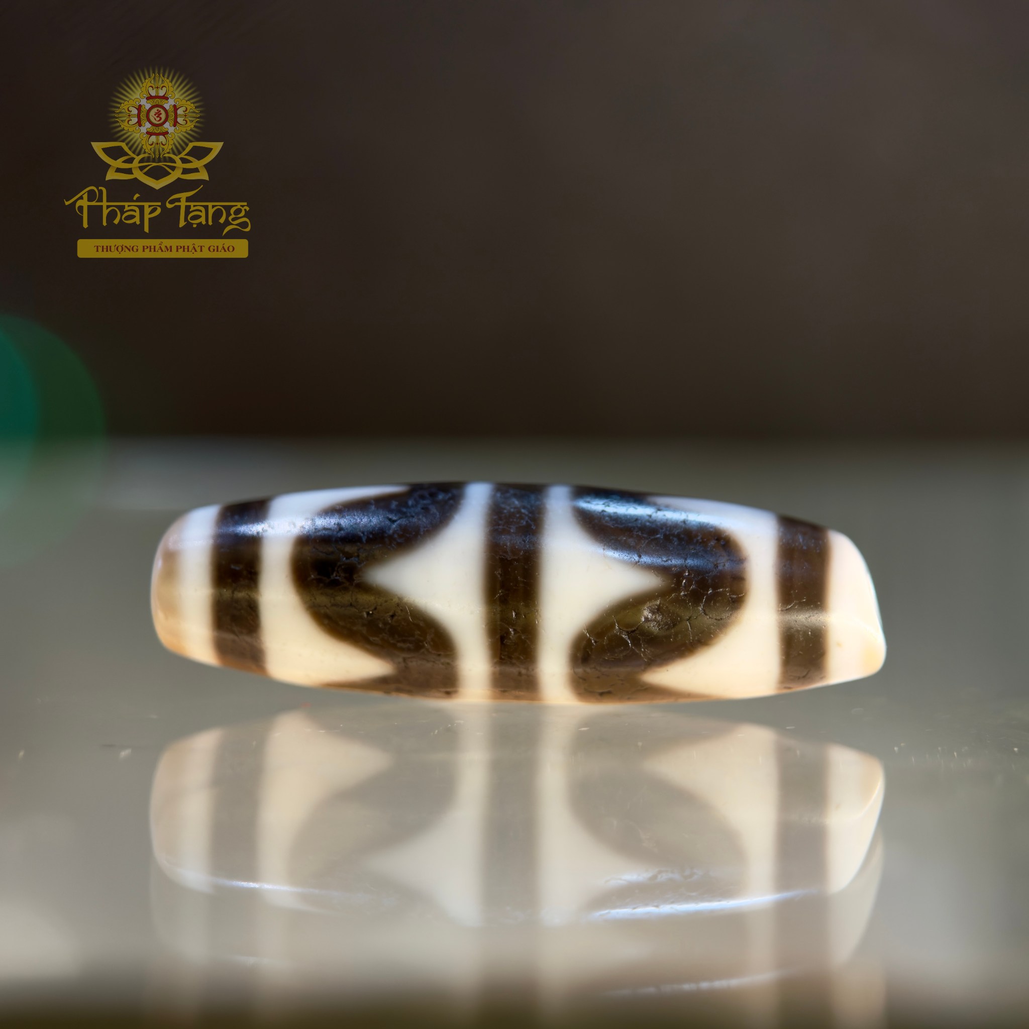 Dzi Nanh Cọp Kép Thân Ngọc Tibet (Sưu Tầm Độc Bản Từ Tibet)