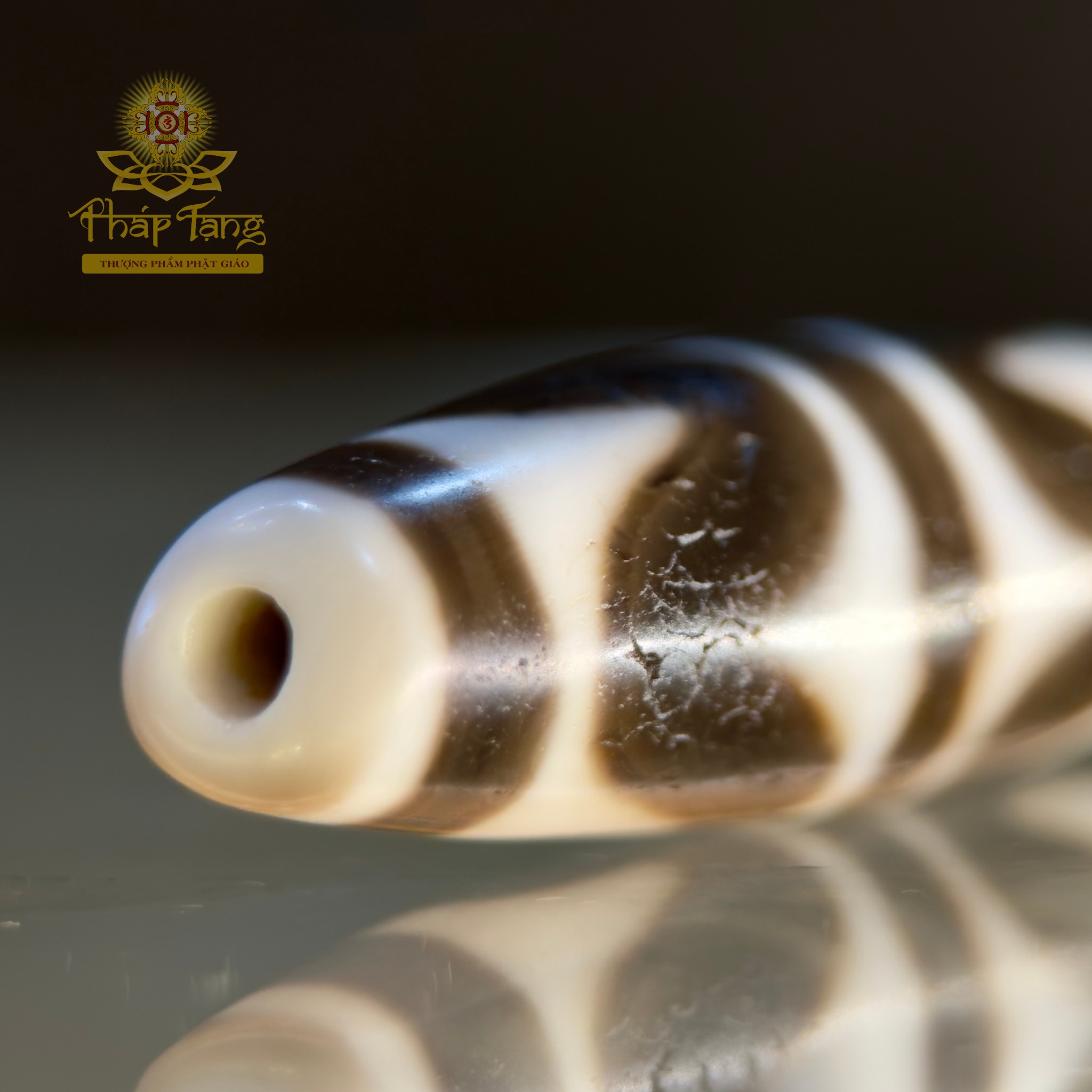 Dzi Nanh Cọp Kép Thân Ngọc Tibet (Sưu Tầm Độc Bản Từ Tibet)