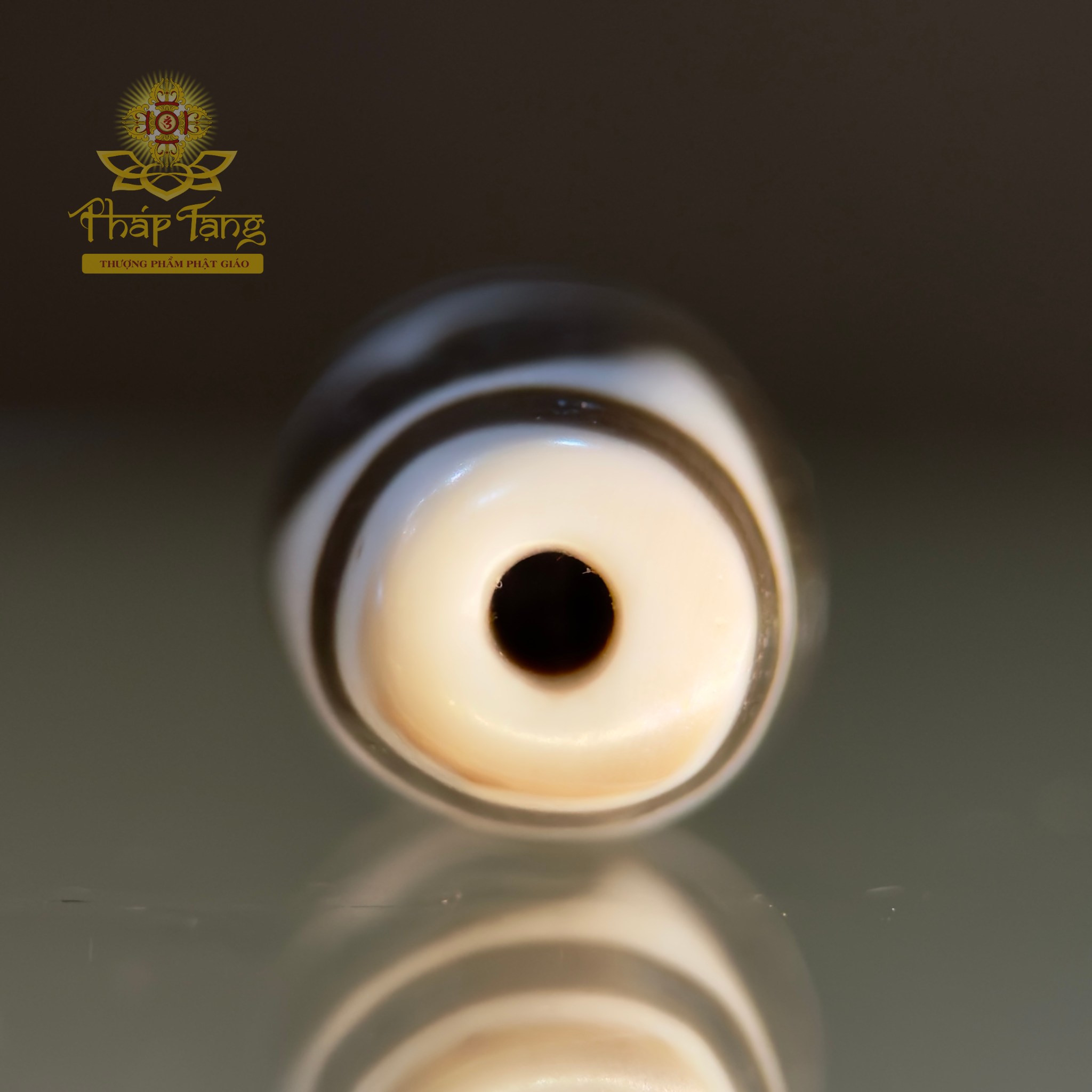 Dzi Nanh Cọp Kép Thân Ngọc Tibet (Sưu Tầm Độc Bản Từ Tibet)