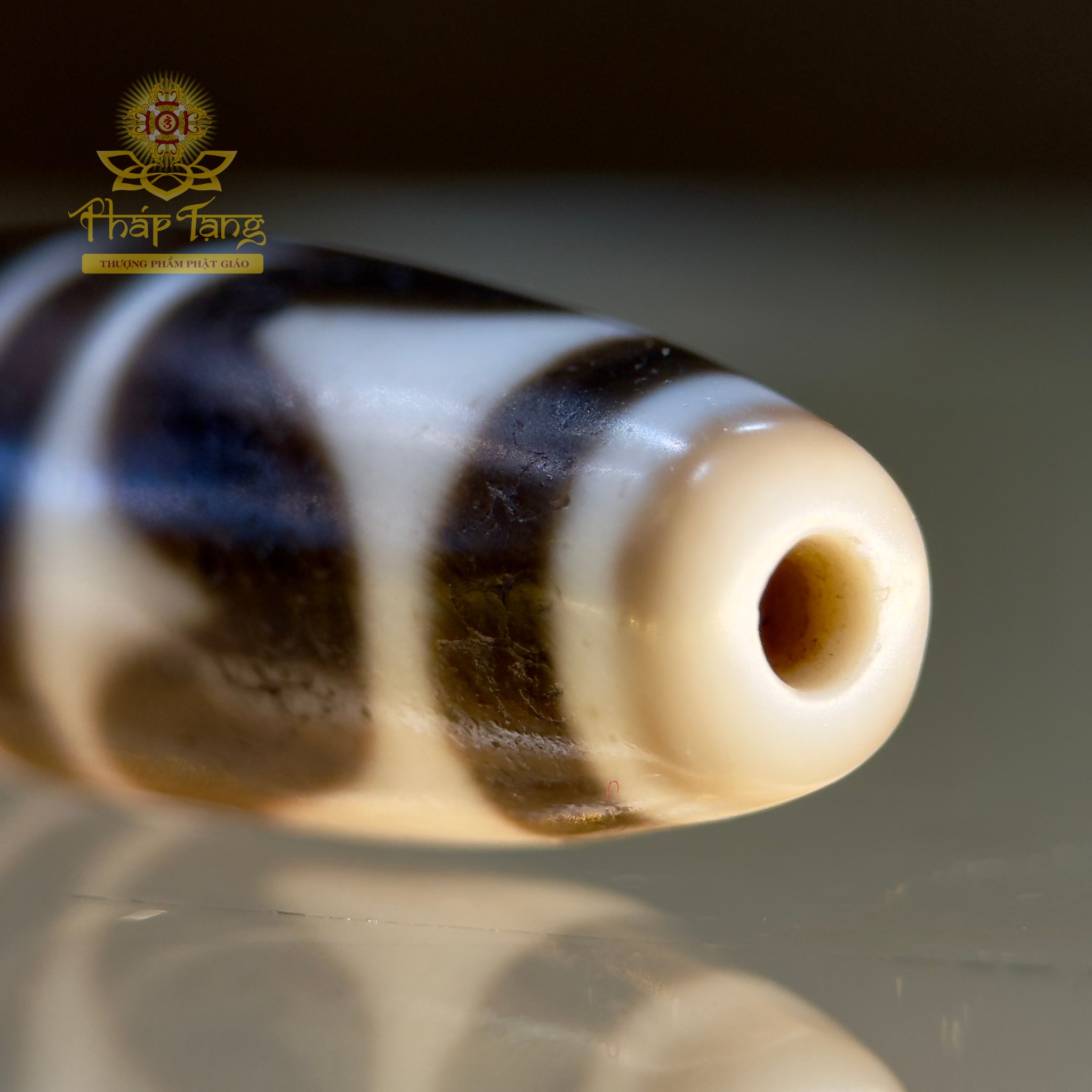 Dzi Nanh Cọp Kép Thân Ngọc Tibet (Sưu Tầm Độc Bản Từ Tibet)