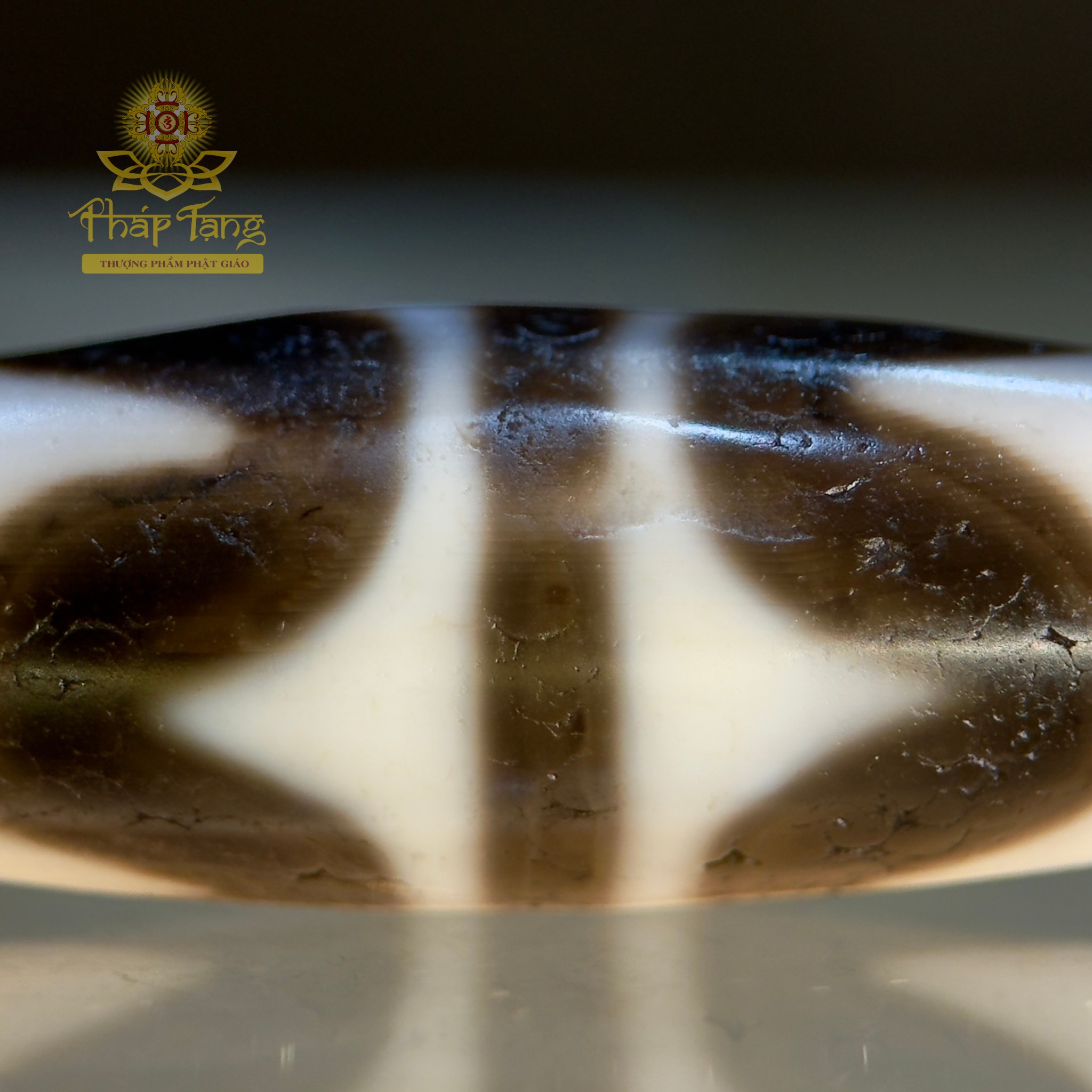 Dzi Nanh Cọp Kép Thân Ngọc Tibet (Sưu Tầm Độc Bản Từ Tibet)