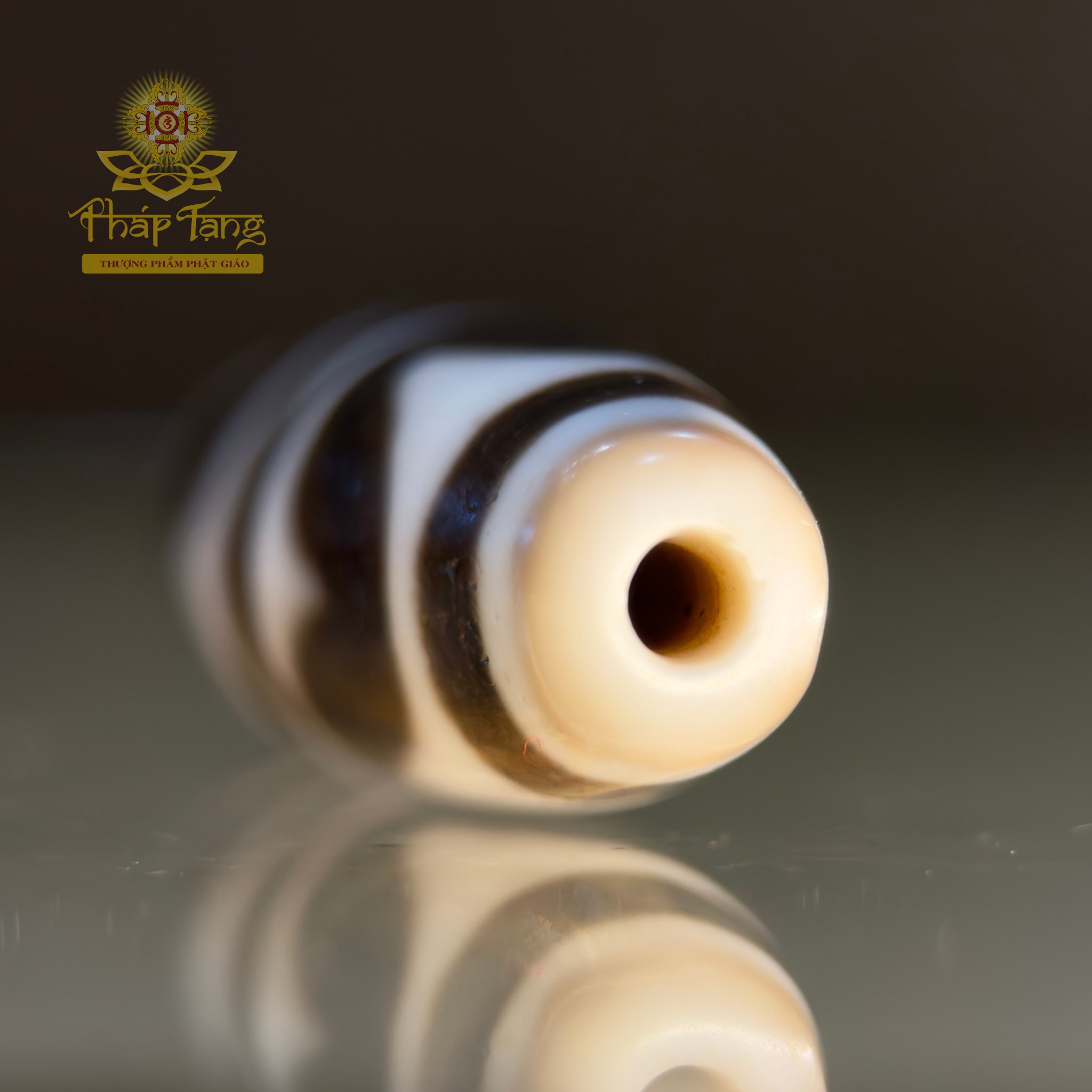 Dzi Nanh Cọp Kép Thân Ngọc Tibet (Sưu Tầm Độc Bản Từ Tibet)