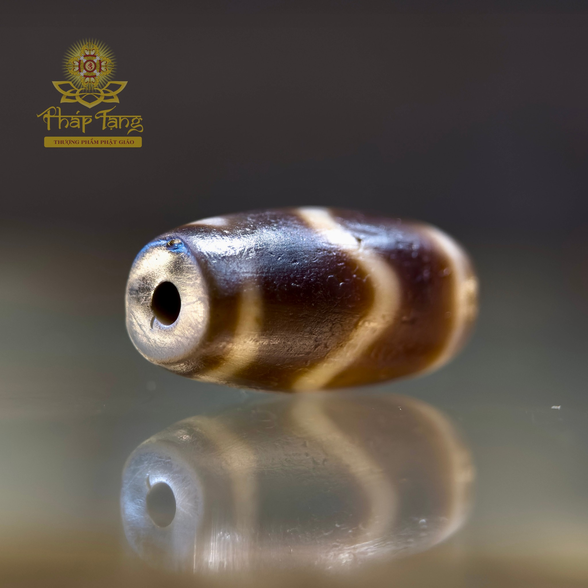 Dzi Nanh Cọp Same Old 22.3mm - Bề Mặt Phong Hóa Sâu Sắc, Hộ Trì Dũng Cảm Vượt Chướng Ngại