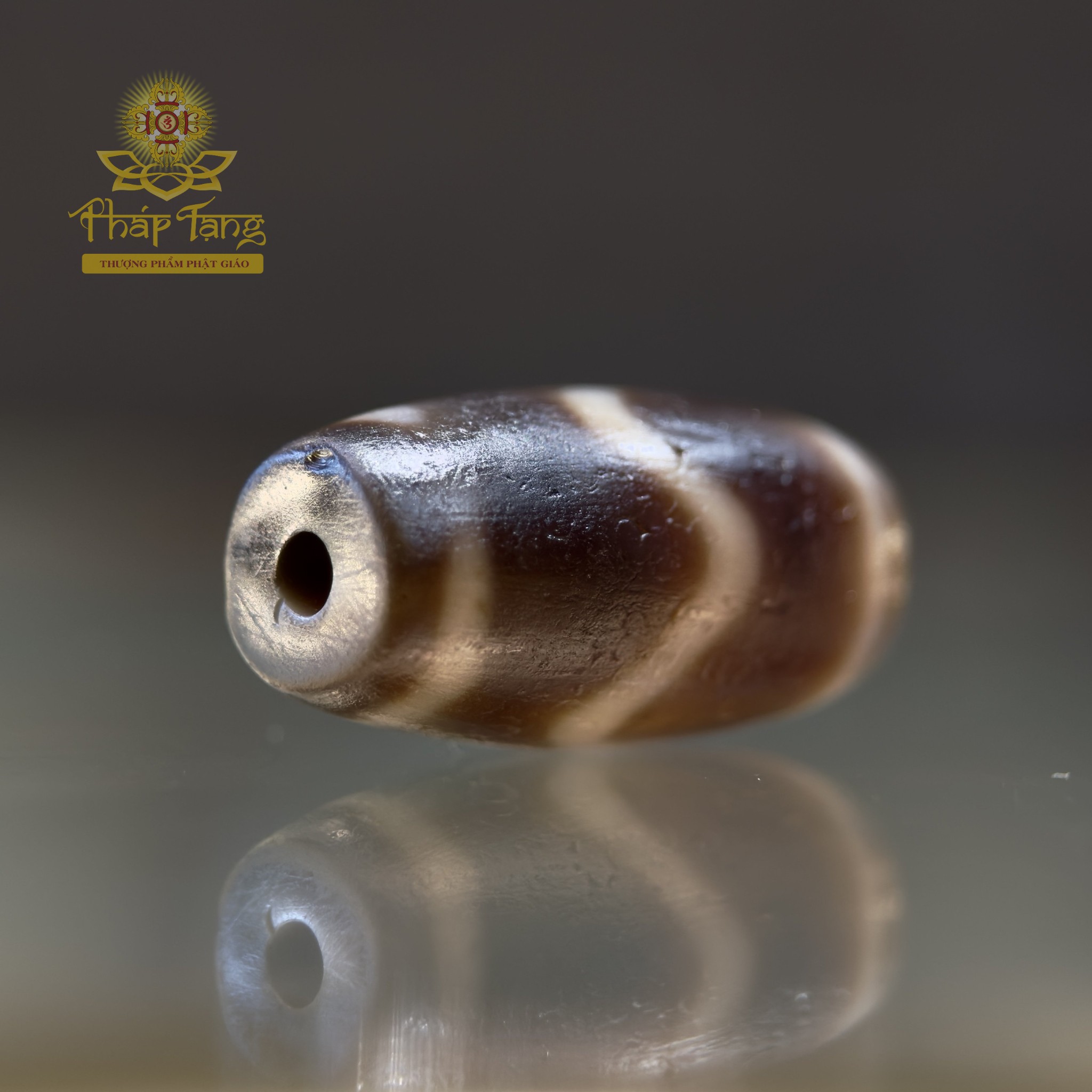 Dzi Nanh Cọp Same Old 22.3mm - Bề Mặt Phong Hóa Sâu Sắc, Hộ Trì Dũng Cảm Vượt Chướng Ngại