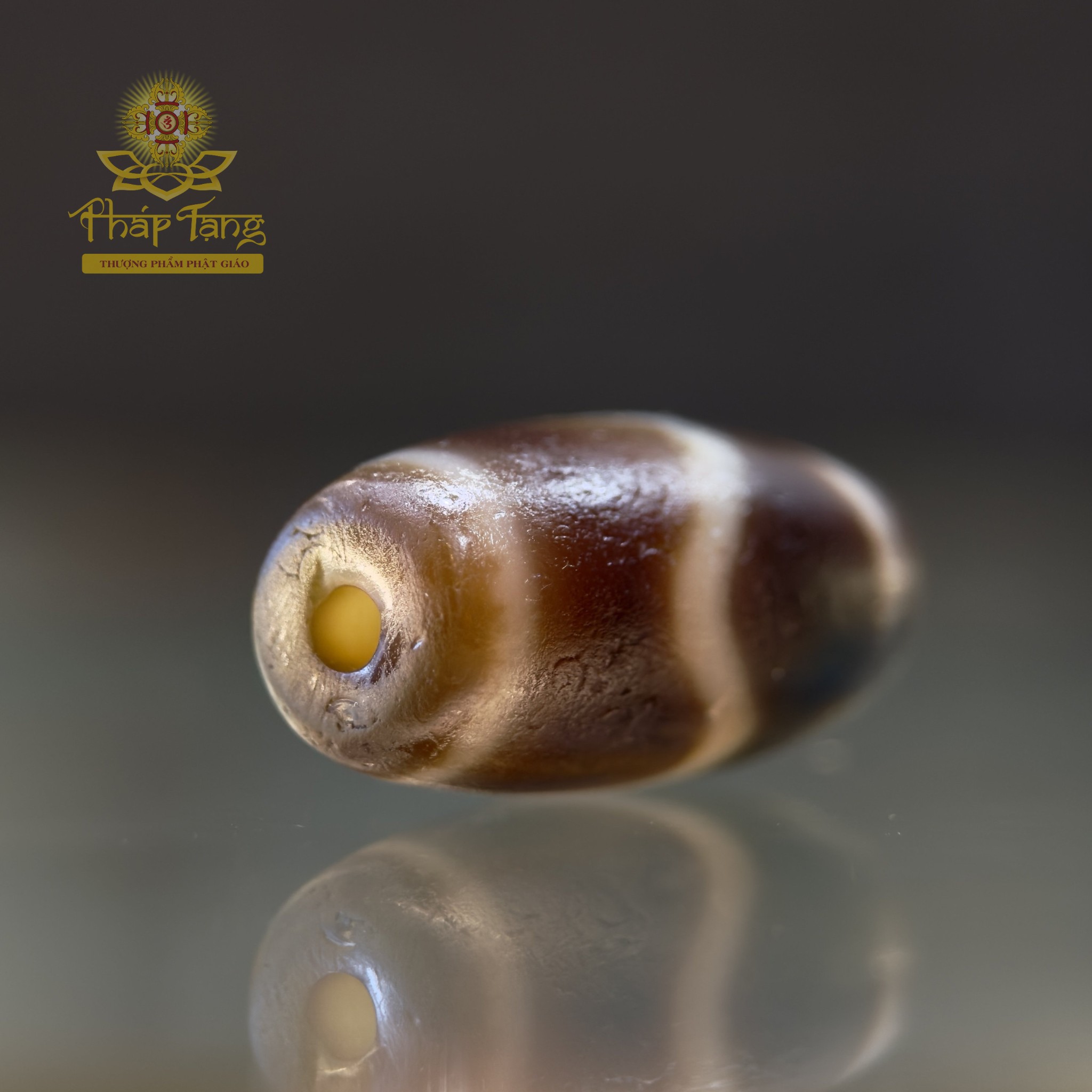 Dzi Nanh Cọp Same Old 22.3mm - Bề Mặt Phong Hóa Sâu Sắc, Hộ Trì Dũng Cảm Vượt Chướng Ngại