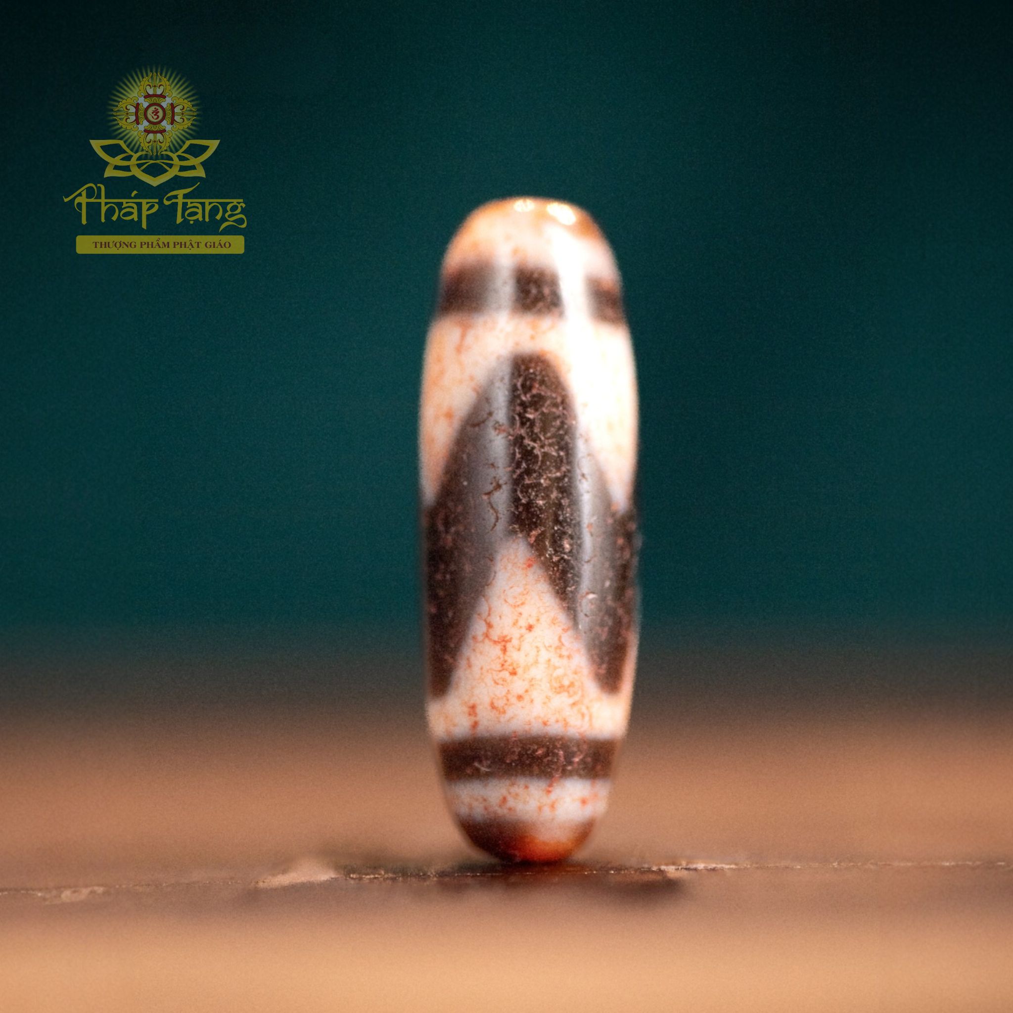 Dzi Tasso (Răng Ngựa) Chu Sa Thân Vân Máu Đỏ | Dòng Dzi Năng Lượng Cao