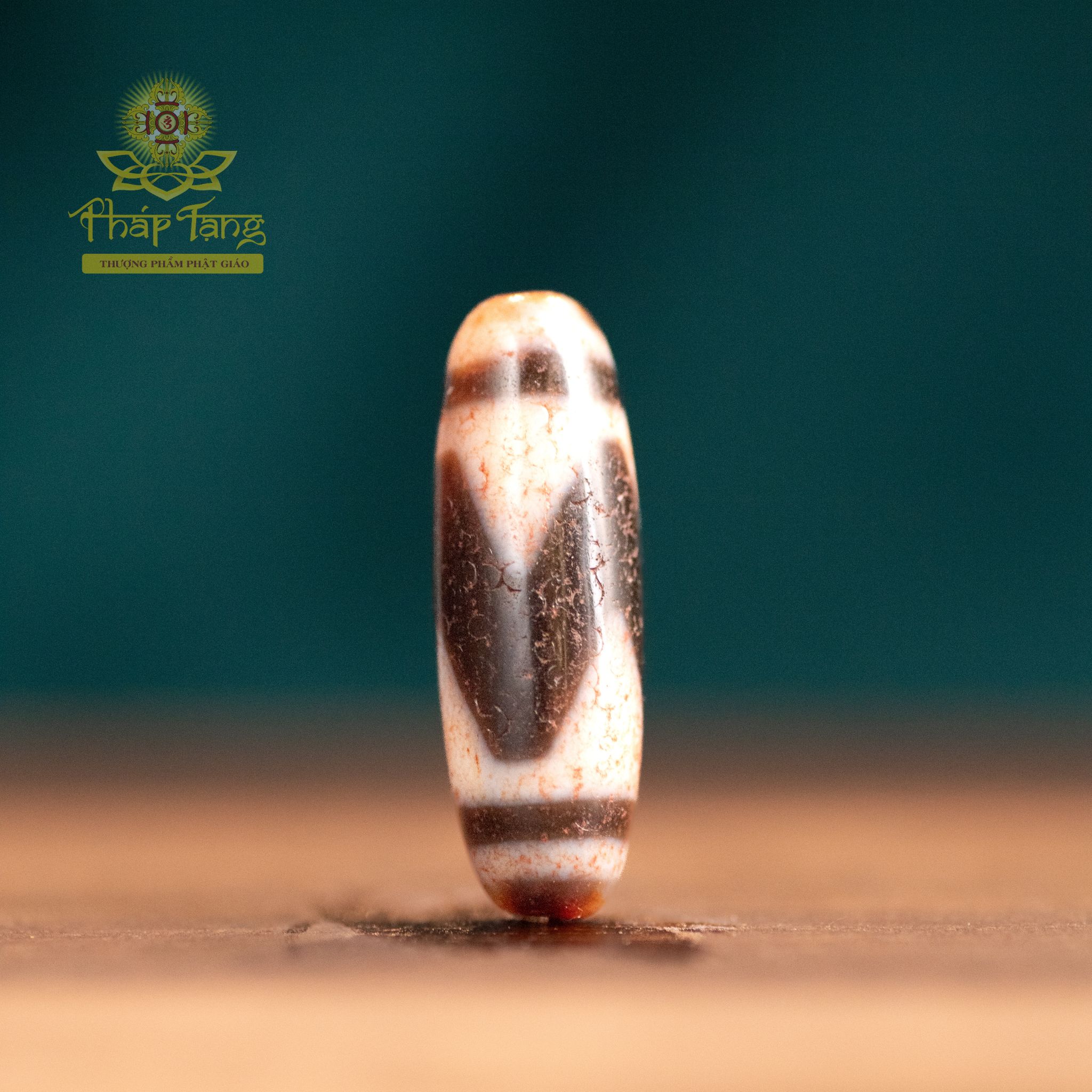 Dzi Tasso (Răng Ngựa) Chu Sa Thân Vân Máu Đỏ | Dòng Dzi Năng Lượng Cao