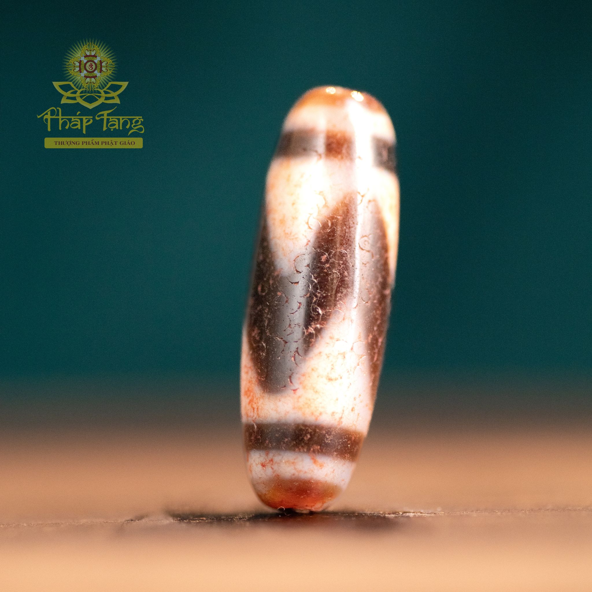 Dzi Tasso (Răng Ngựa) Chu Sa Thân Vân Máu Đỏ | Dòng Dzi Năng Lượng Cao