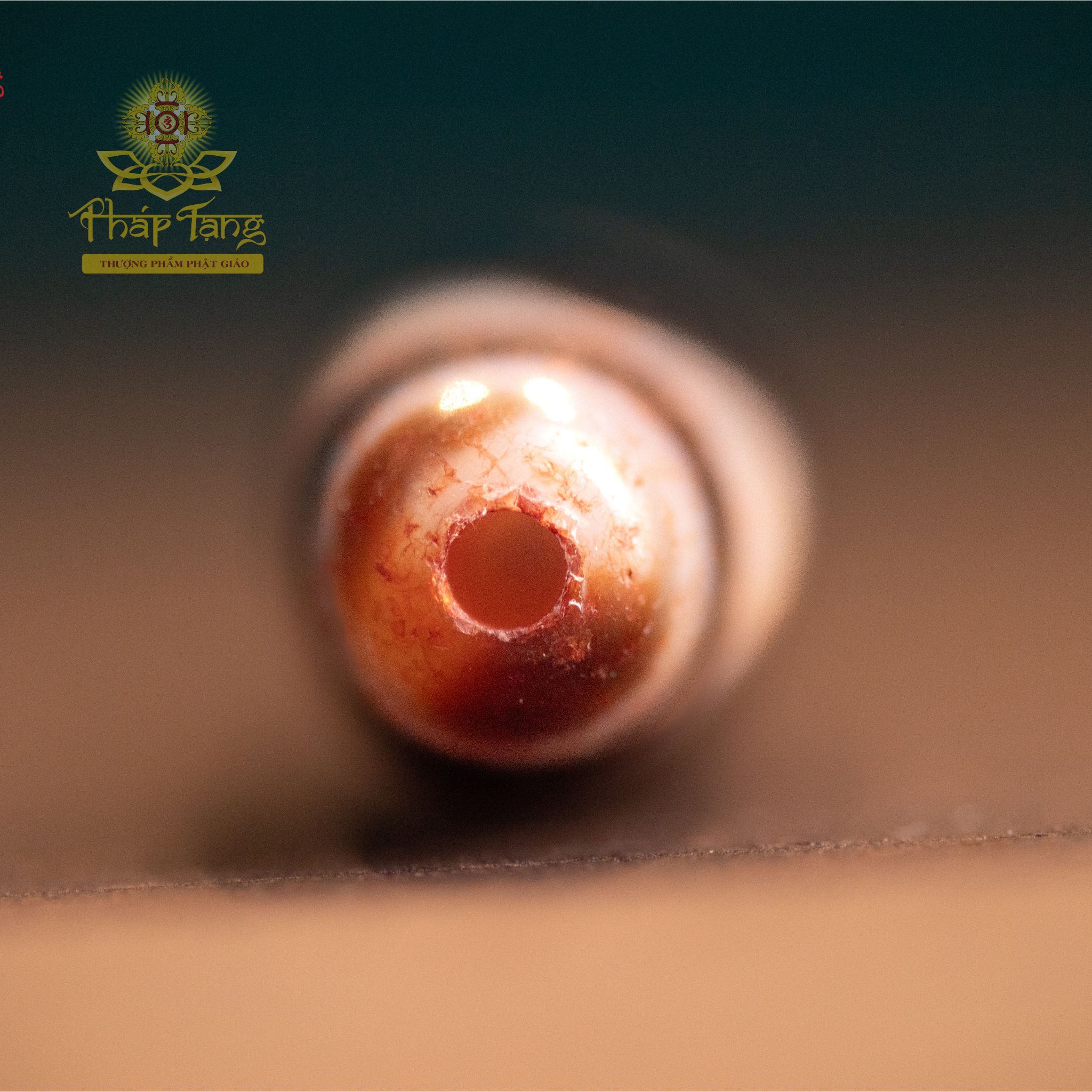 Dzi Tasso (Răng Ngựa) Chu Sa Thân Vân Máu Đỏ | Dòng Dzi Năng Lượng Cao