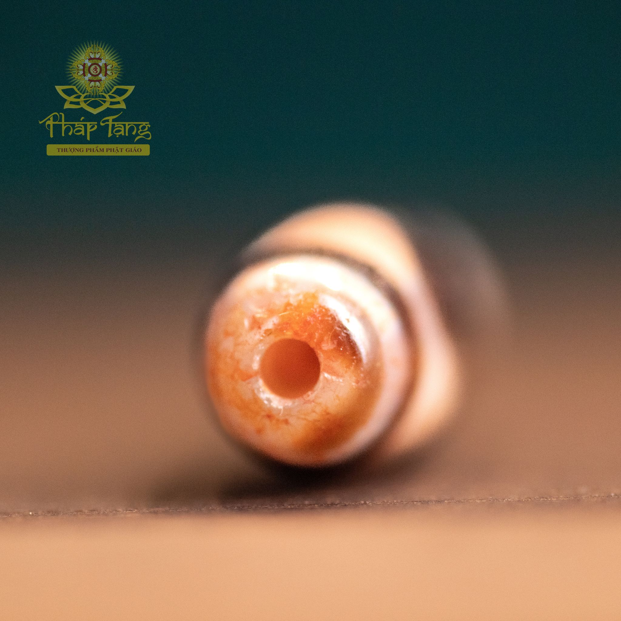 Dzi Tasso (Răng Ngựa) Chu Sa Thân Vân Máu Đỏ | Dòng Dzi Năng Lượng Cao