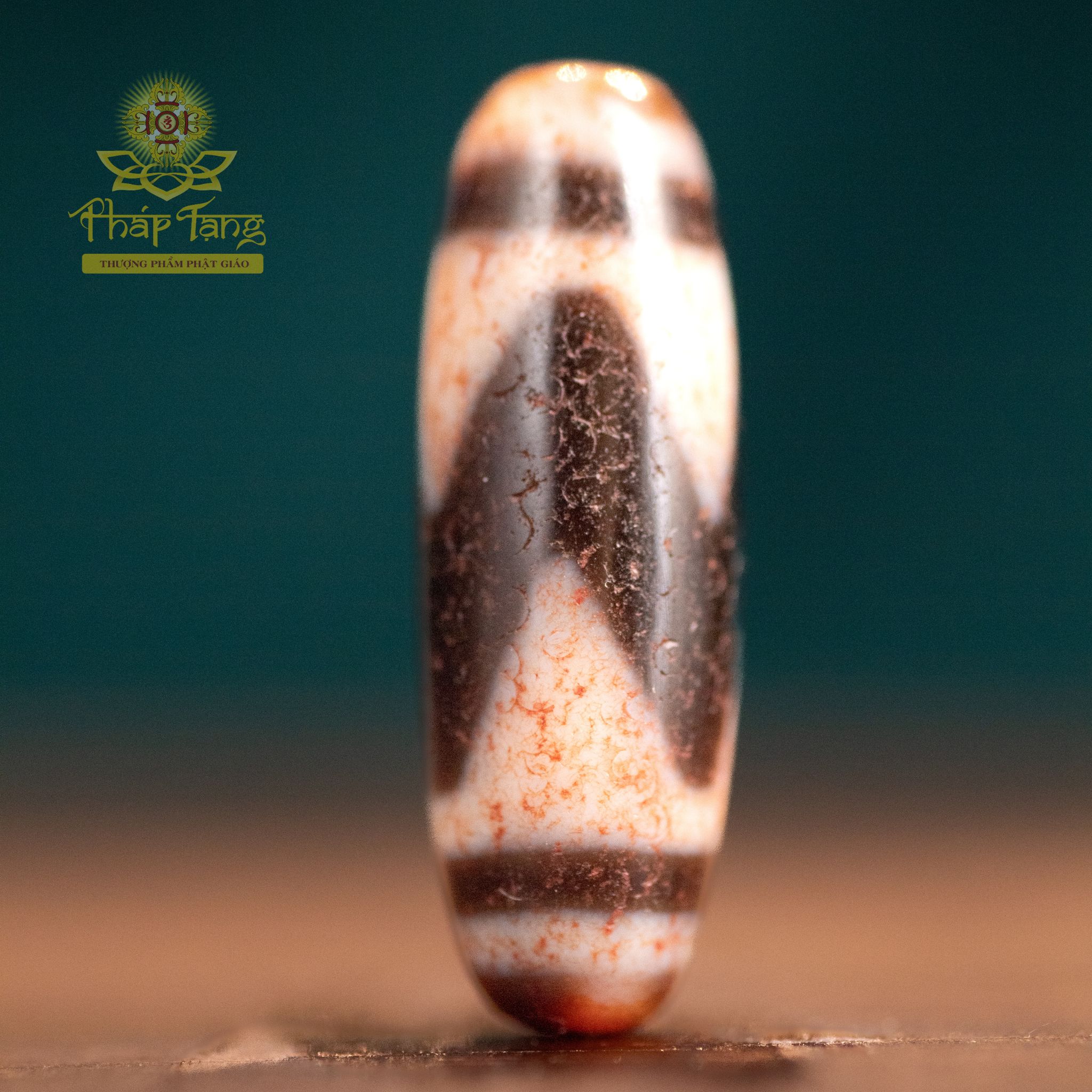 Dzi Tasso (Răng Ngựa) Chu Sa Thân Vân Máu Đỏ | Dòng Dzi Năng Lượng Cao