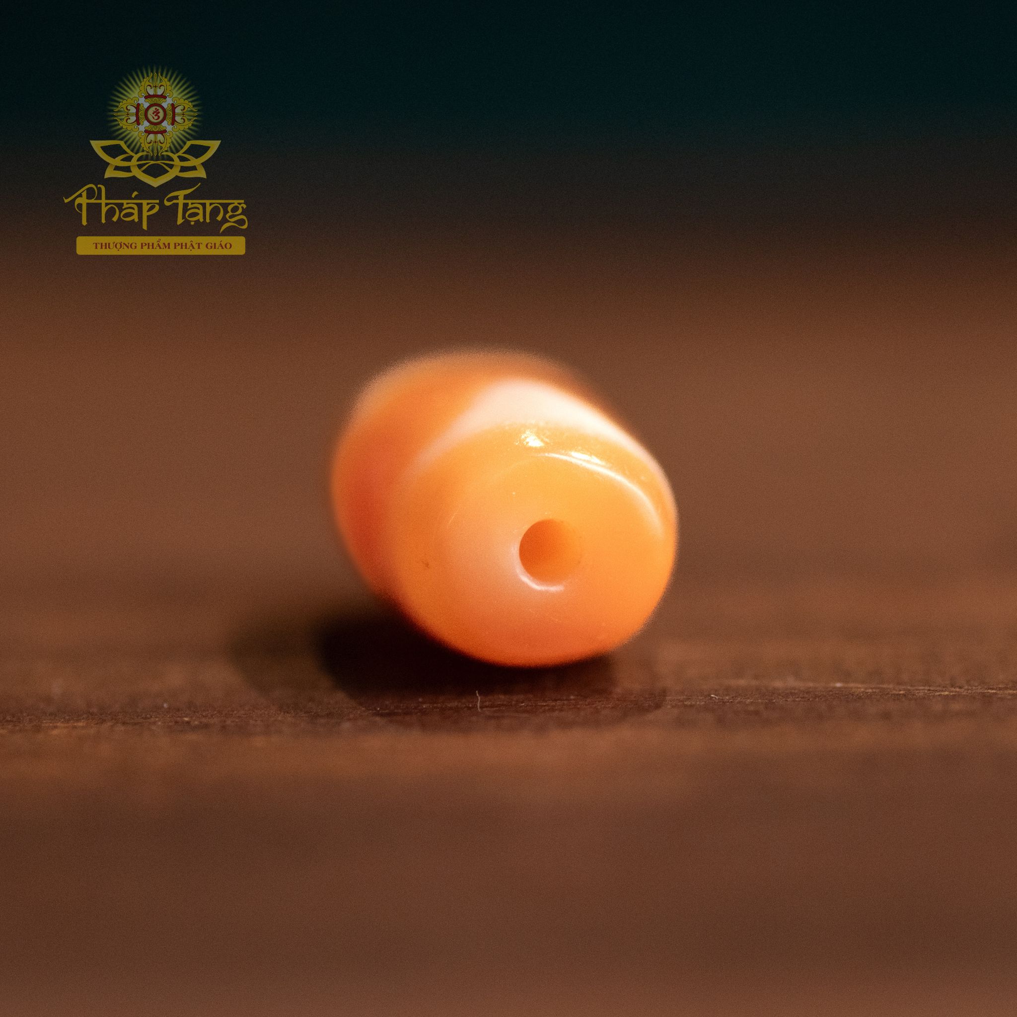 Dzi Tasso (Răng Ngựa) Màu Cam Pastel Nepal 2CM | Gia Trì Lễ Vía