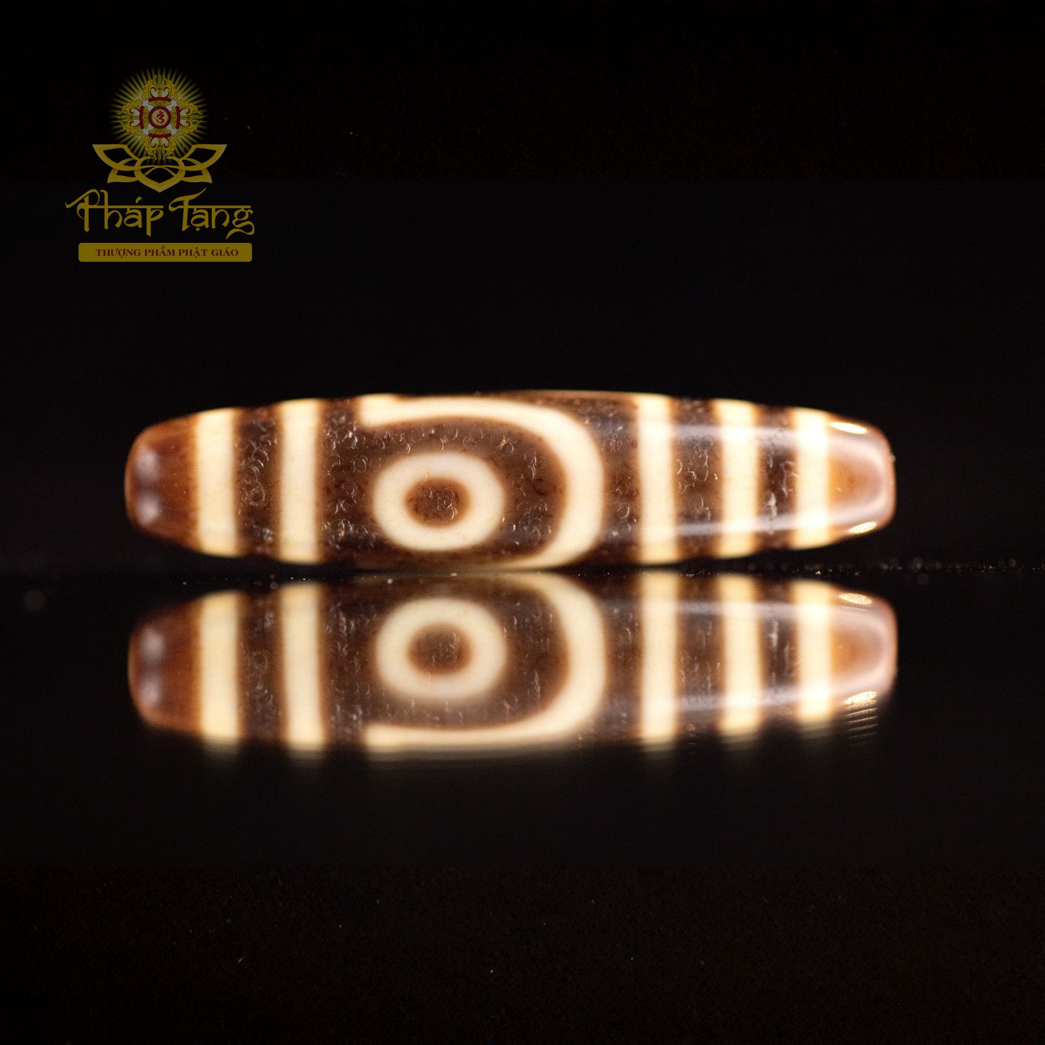 Dzi Thiên Châu Nepal 2 Mắt (47.1mm) - Biểu Tượng Hòa Hợp Âm Dương, Hạnh Phúc Hôn Nhân