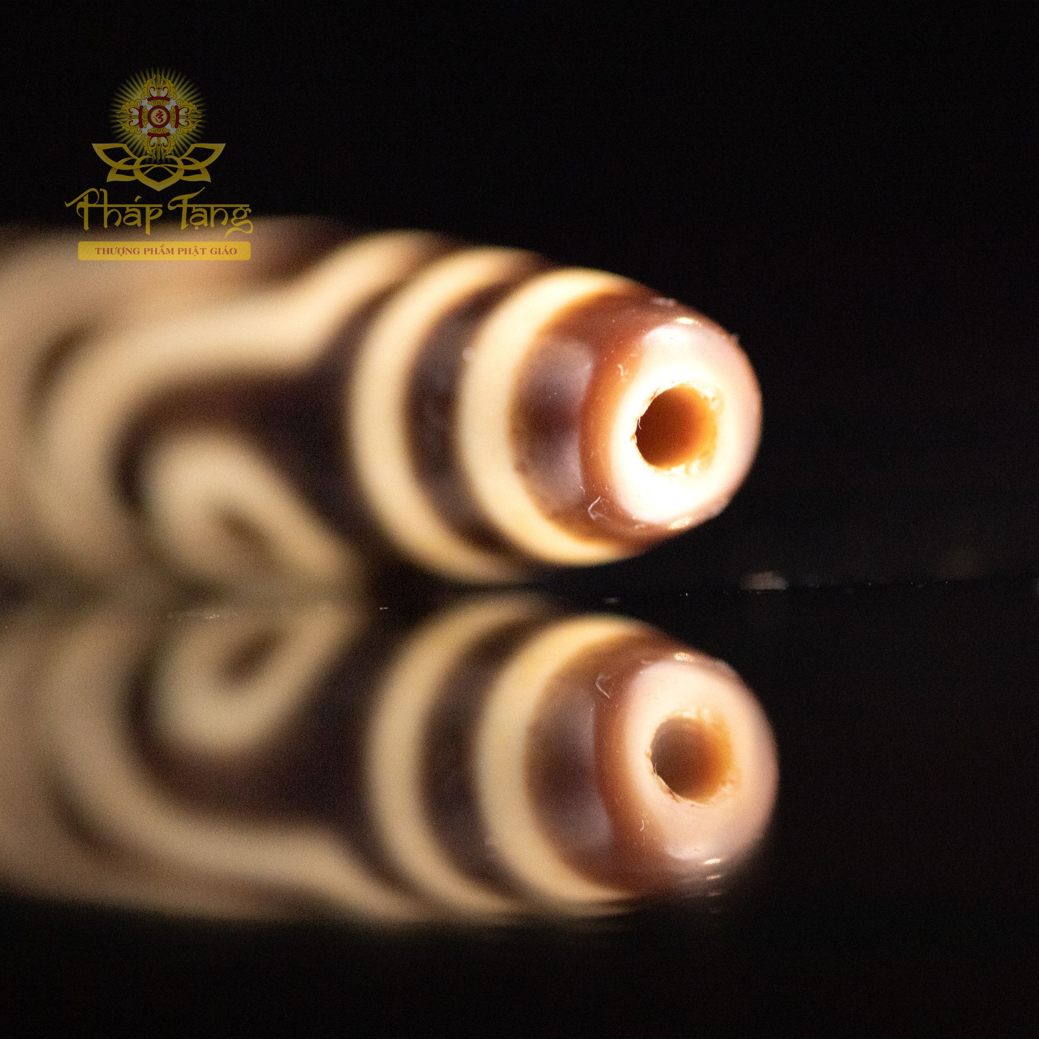 Dzi Thiên Châu Nepal 2 Mắt (47.1mm) - Biểu Tượng Hòa Hợp Âm Dương, Hạnh Phúc Hôn Nhân