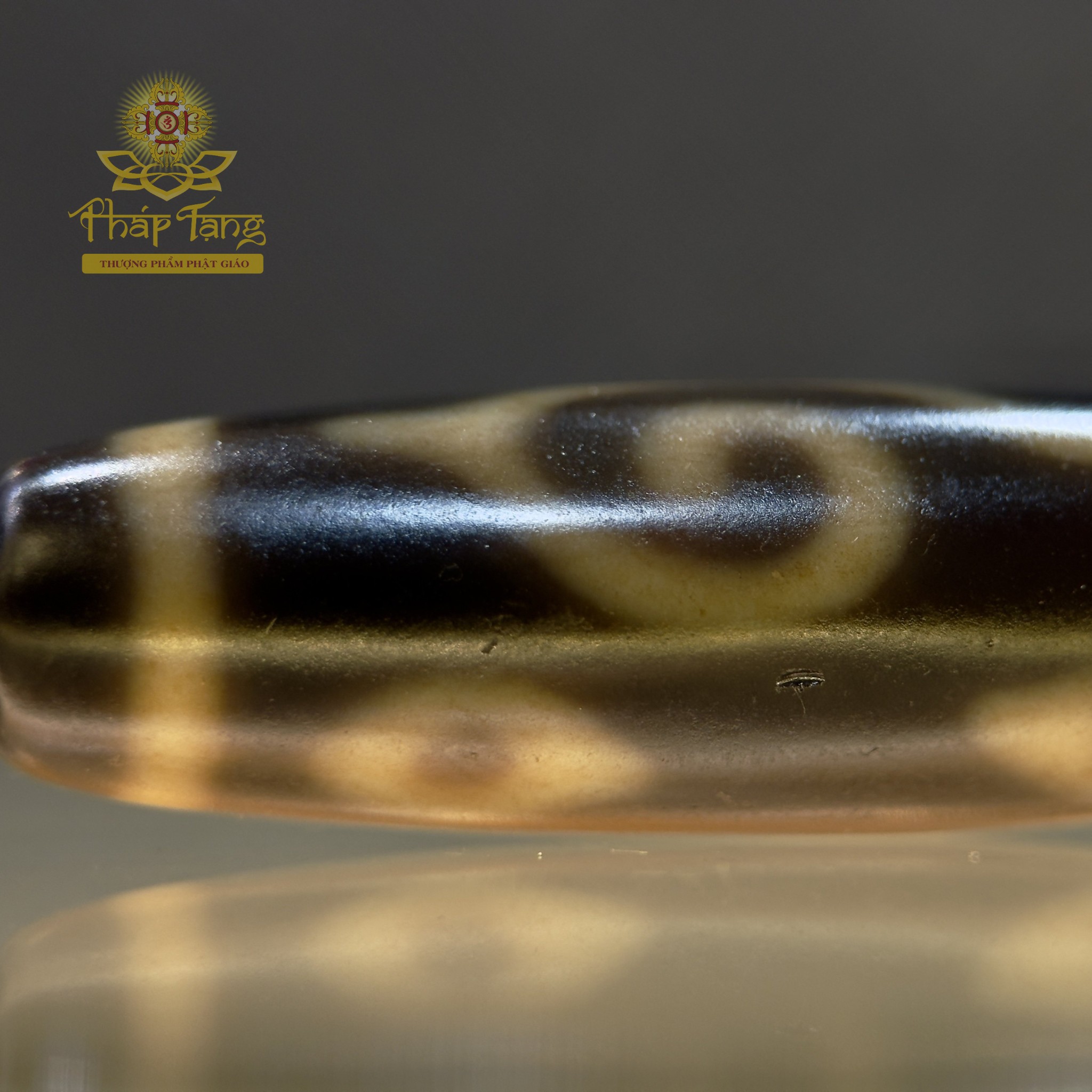 Dzi Thiên Nhãn | Pháp Bảo Hộ Mệnh Trí Tuệ Thấu Suốt | Pháp Tạng