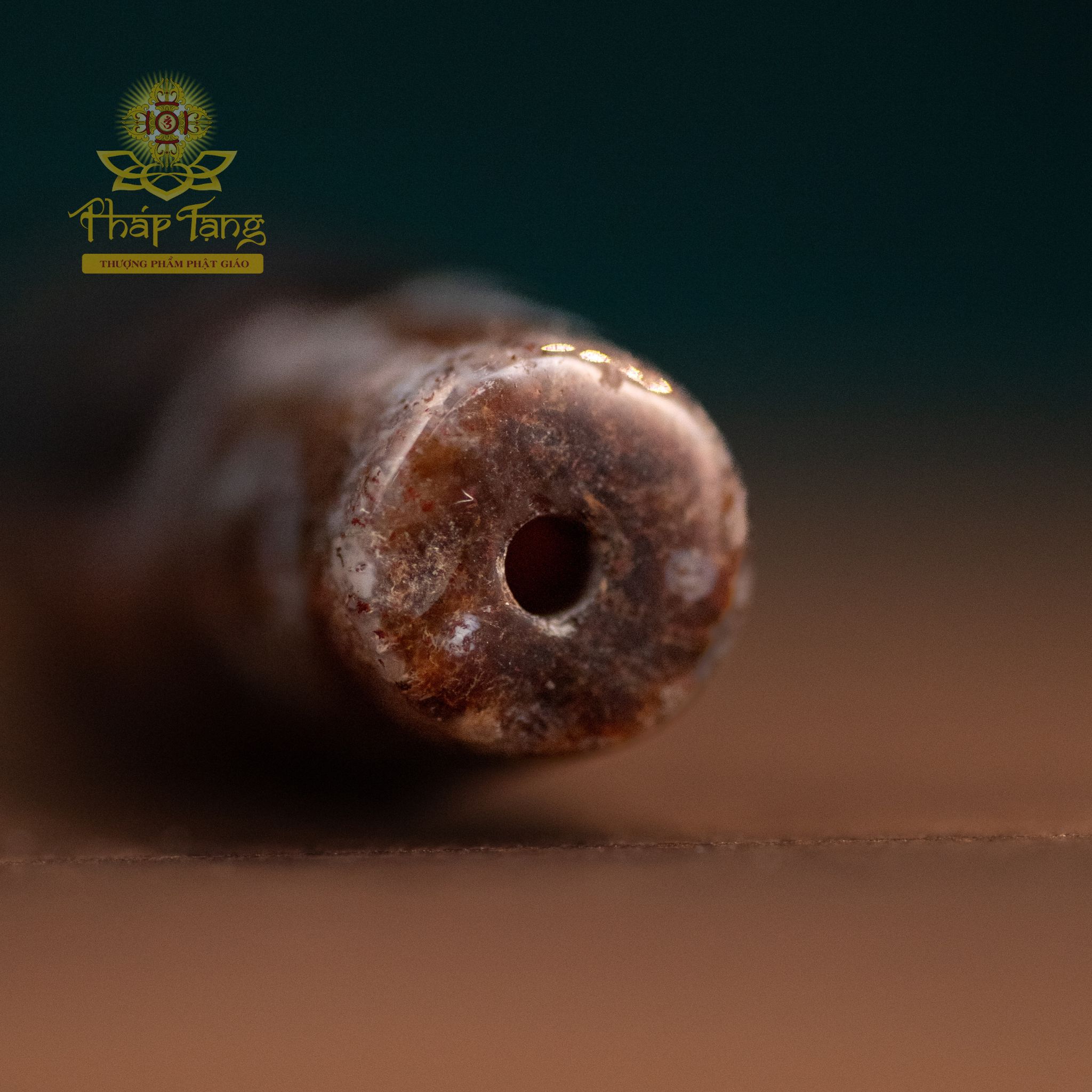 Dzi Tượng Hùng (Dzi Voi) 12 Mắt (Thân Dầu Nâu Bóng) - Bảo Hộ 12 Tướng Dược Sư