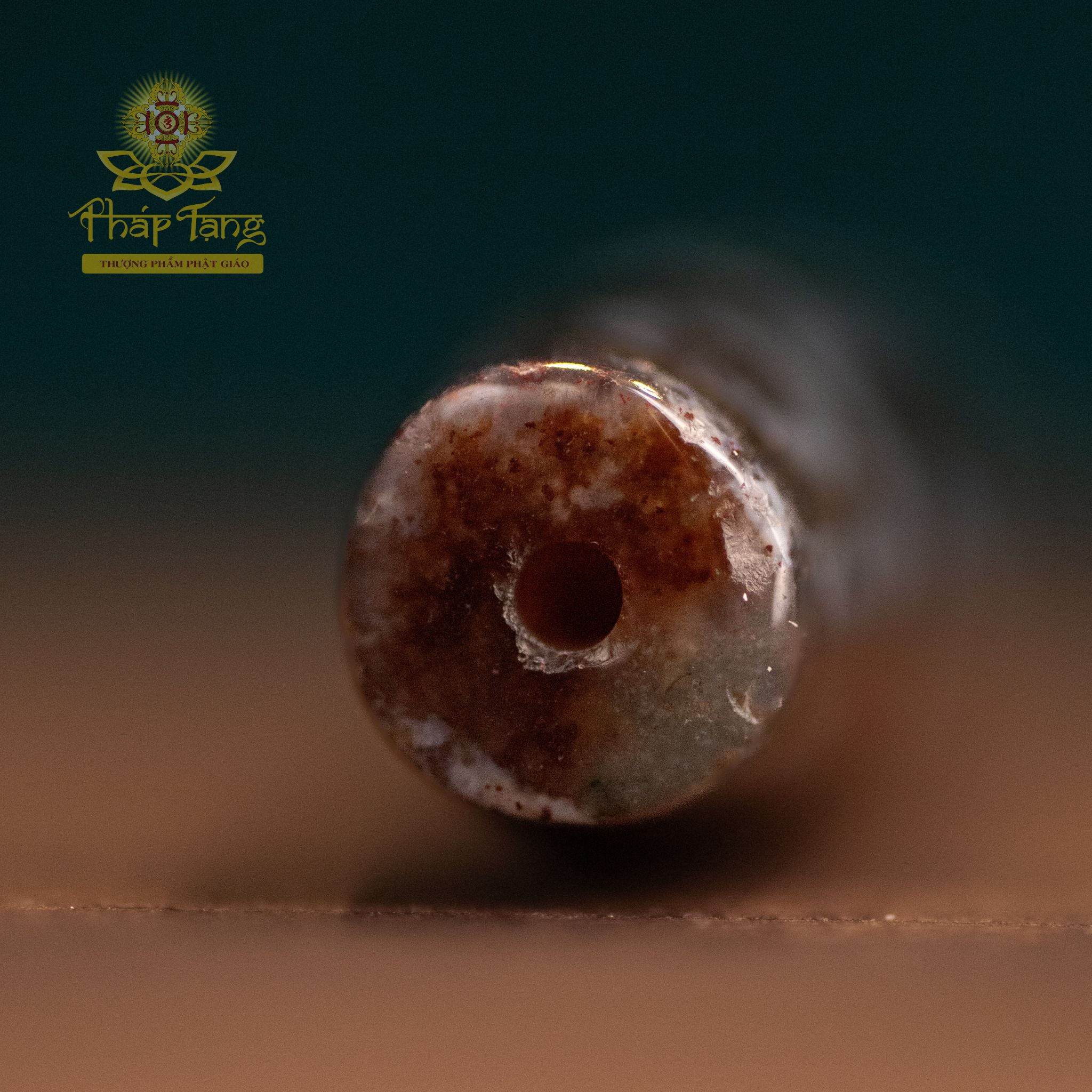 Dzi Tượng Hùng (Dzi Voi) 12 Mắt (Thân Dầu Nâu Bóng) - Bảo Hộ 12 Tướng Dược Sư