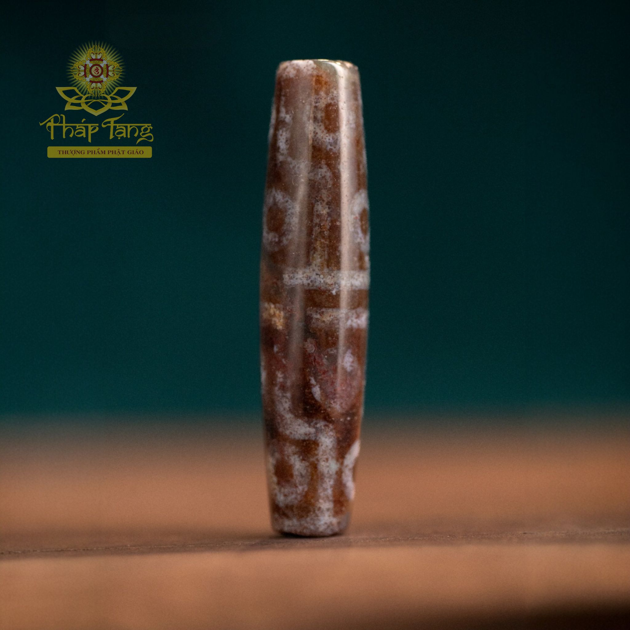 Dzi Tượng Hùng (Dzi Voi) 12 Mắt (Thân Dầu Nâu Bóng) - Bảo Hộ 12 Tướng Dược Sư