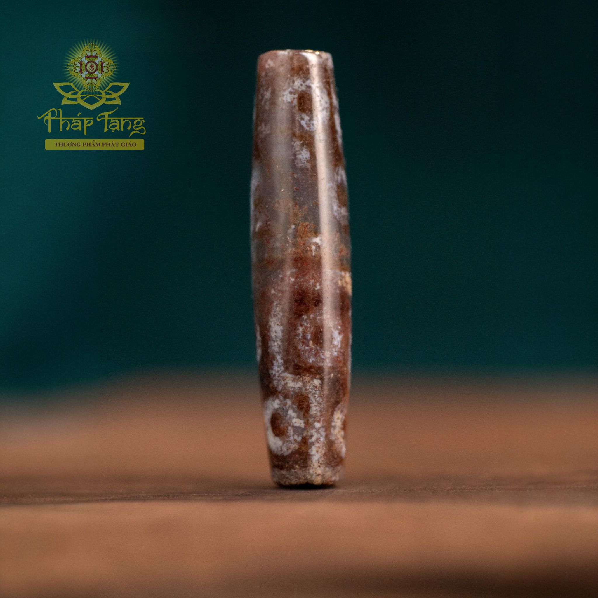 Dzi Tượng Hùng (Dzi Voi) 12 Mắt (Thân Dầu Nâu Bóng) - Bảo Hộ 12 Tướng Dược Sư