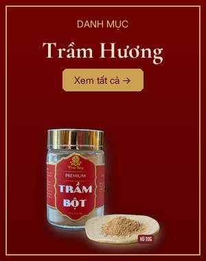 Trầm Hương & Nhang - Đại Bồ Đề Tâm