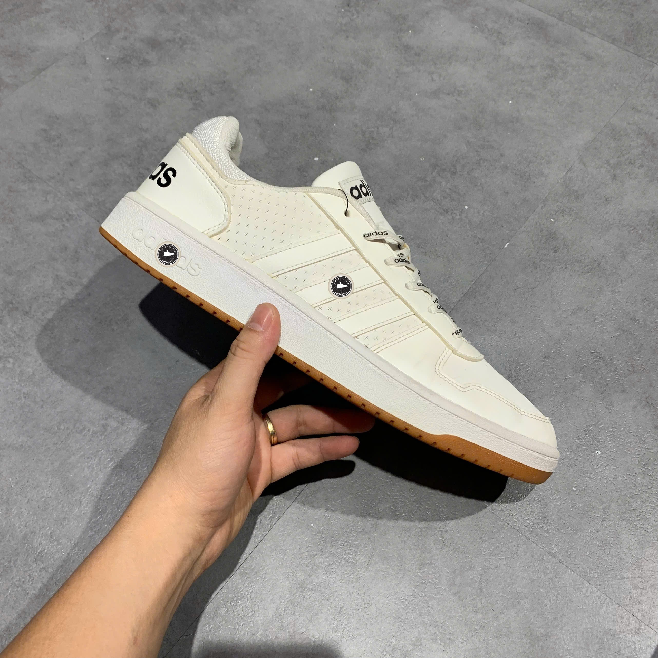 Adidas Hoops 3.0 Low Cloud White Gum - FY8630 - Size 45 1/3 - GIÀY 2HAND CHÍNH HÃNG PVN25704