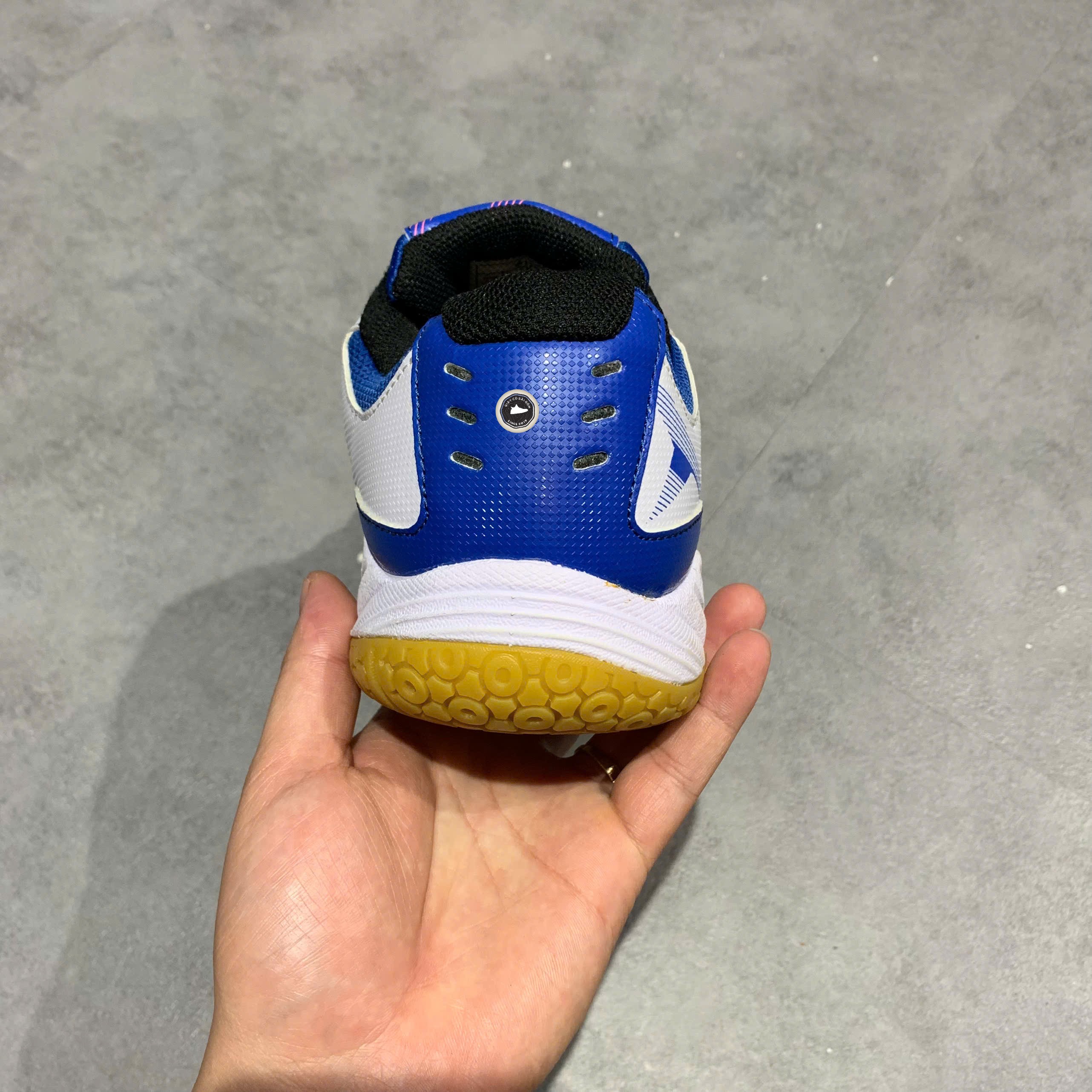 Giày Pickleball Victor A172-AF White Blue - A172-AF - Size 43 - GIÀY 2HAND CHÍNH HÃNG PVN