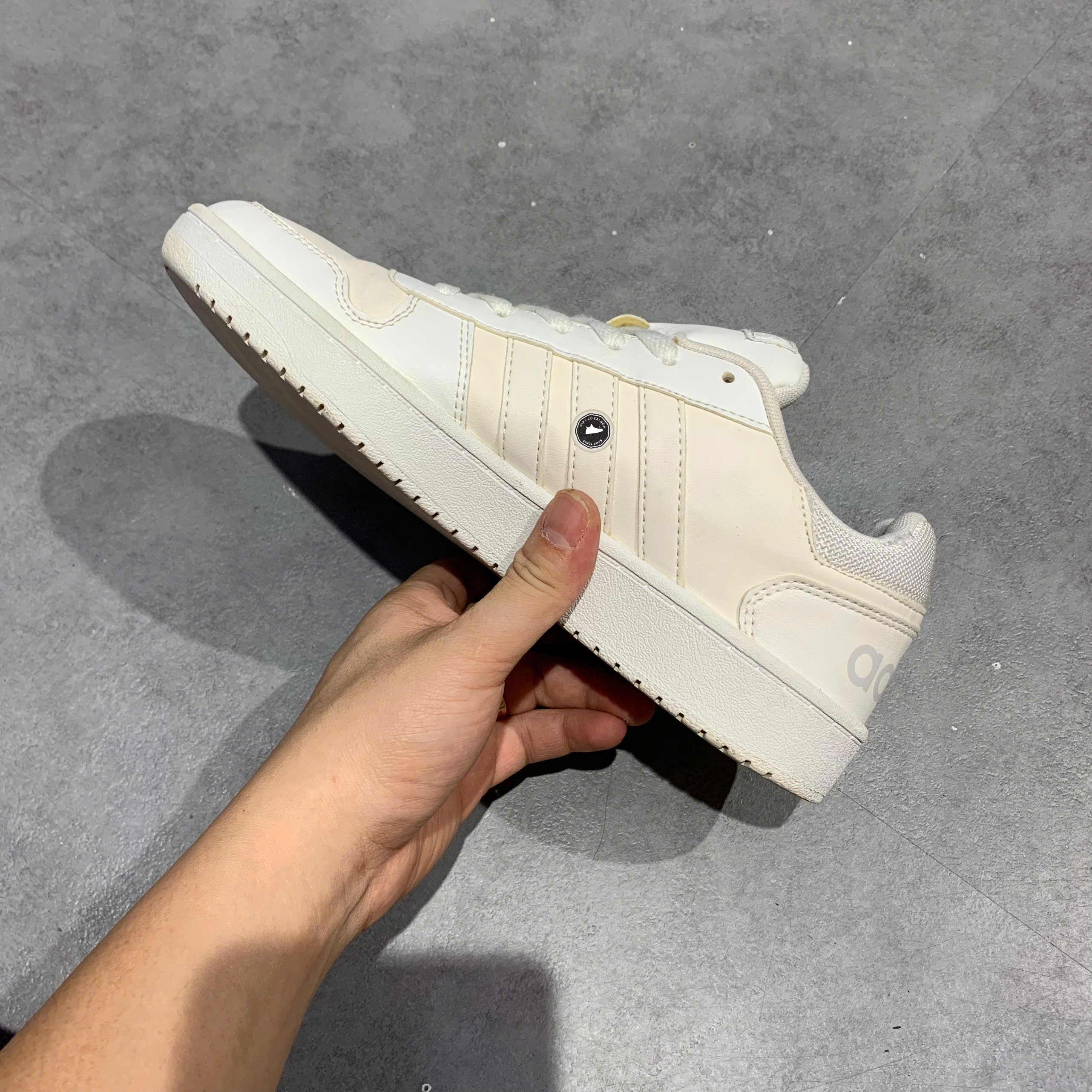 Adidas Hoops 3.0 Low White Magic Beige - IF2634 - Size 40 2/3 - GIÀY 2HAND CHÍNH HÃNG PVN25346