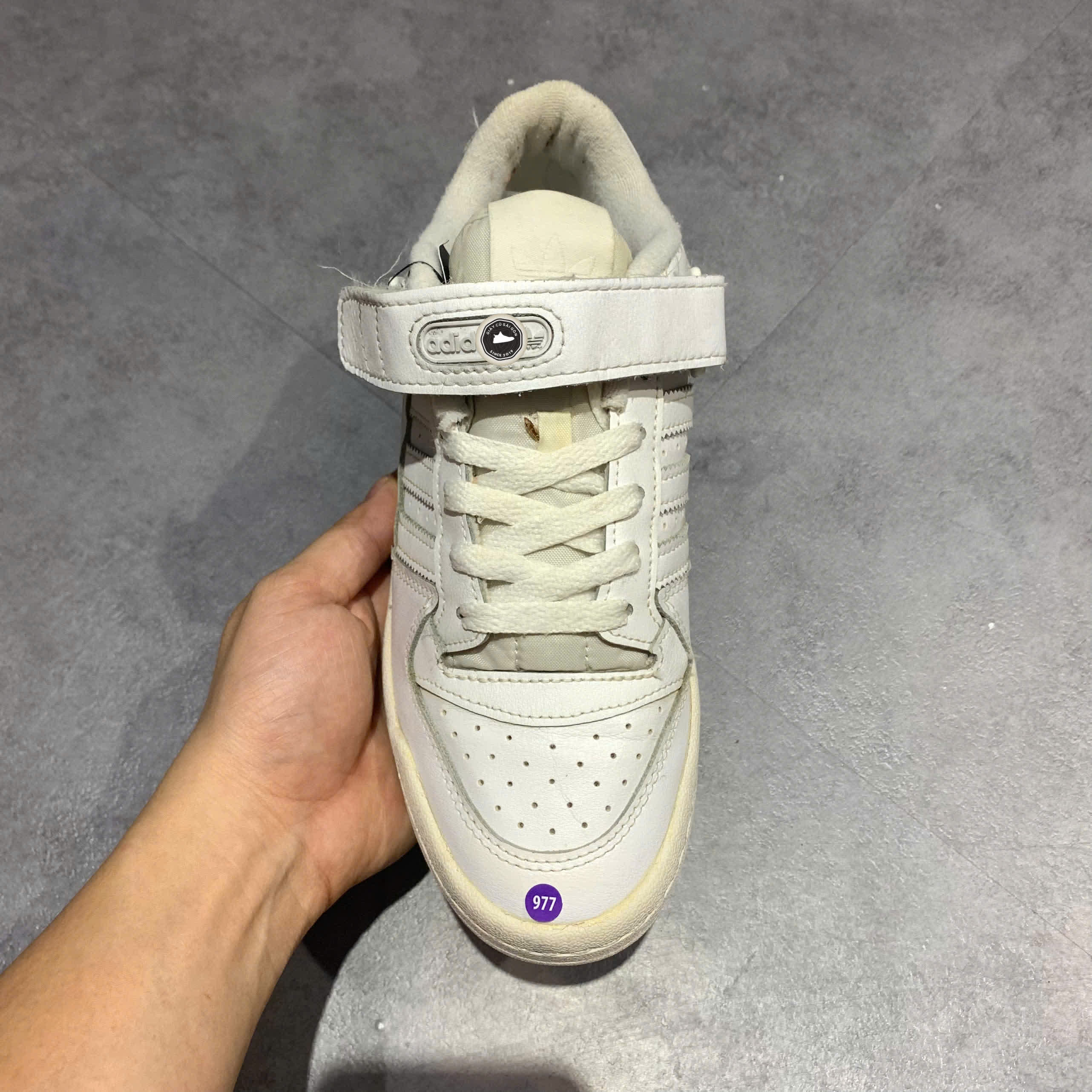 ADIDAS FORUM LOW J FY7973 SIZE 37 1/3 - GIÀY 2HAND CHÍNH HÃNG