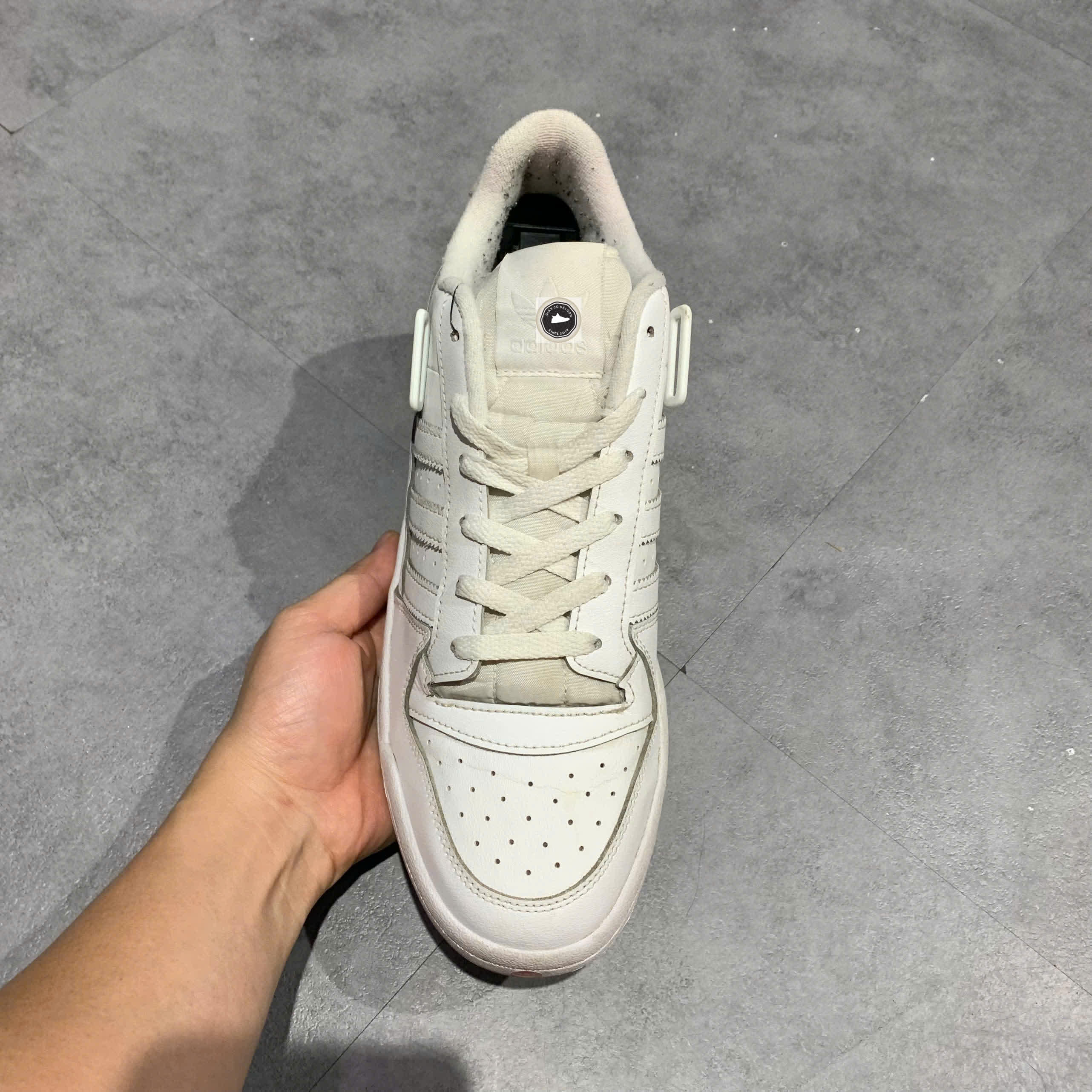 adidas forum low white on feet