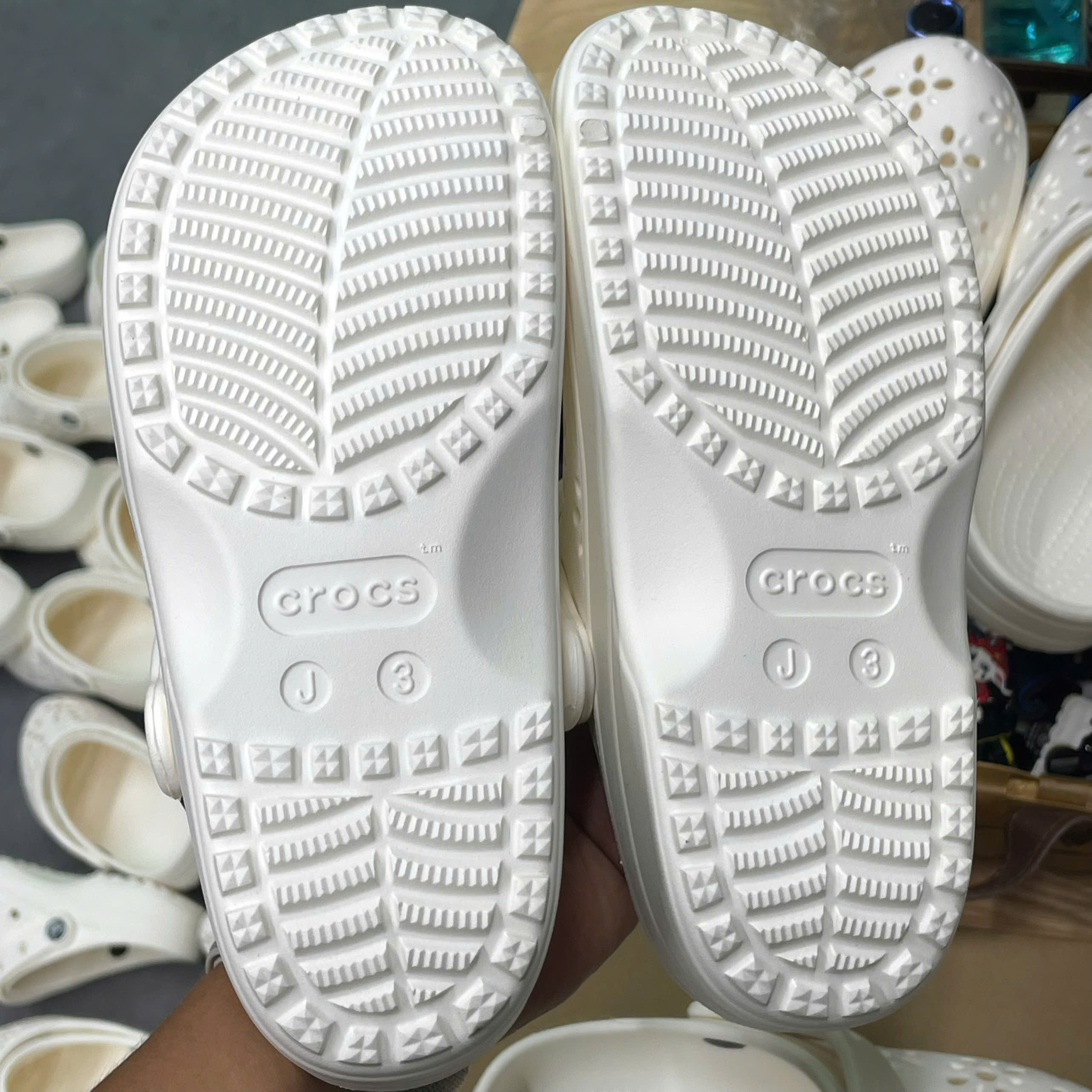 CROCS HOA TRẮNG
