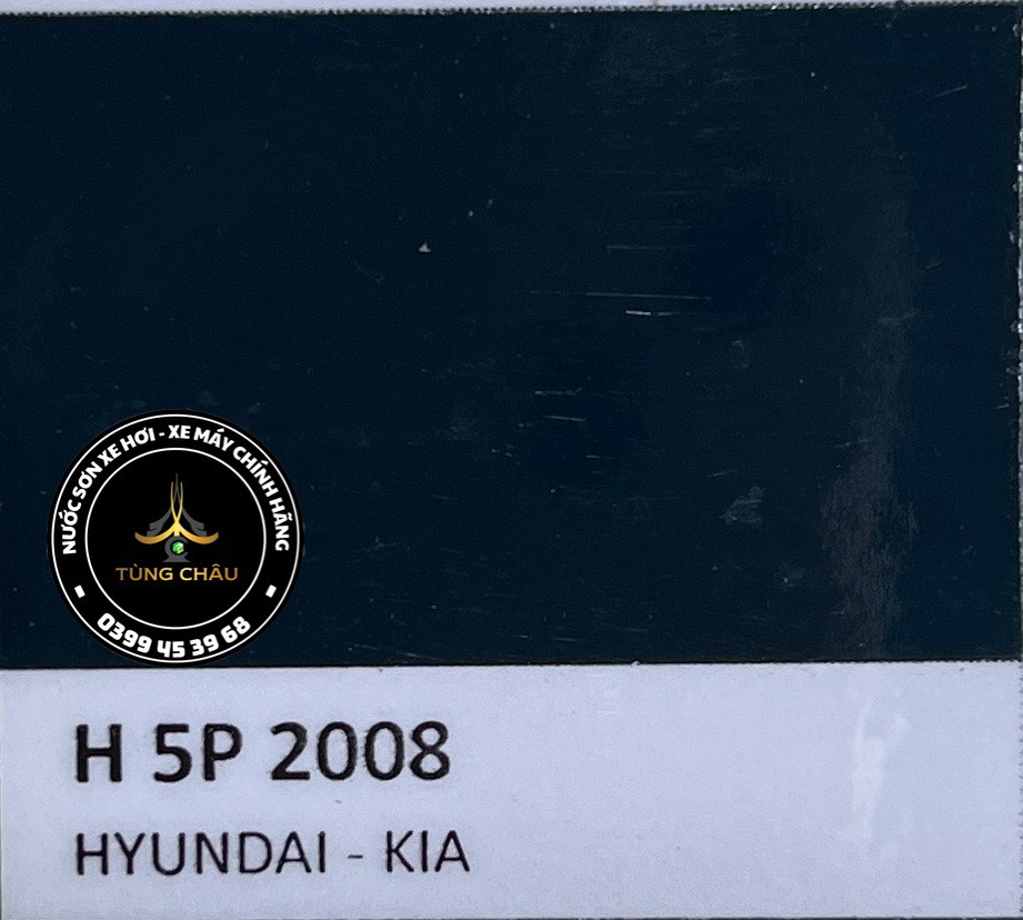 H-5P - MÀU XANH NHỚT - HUYNDAI 2008