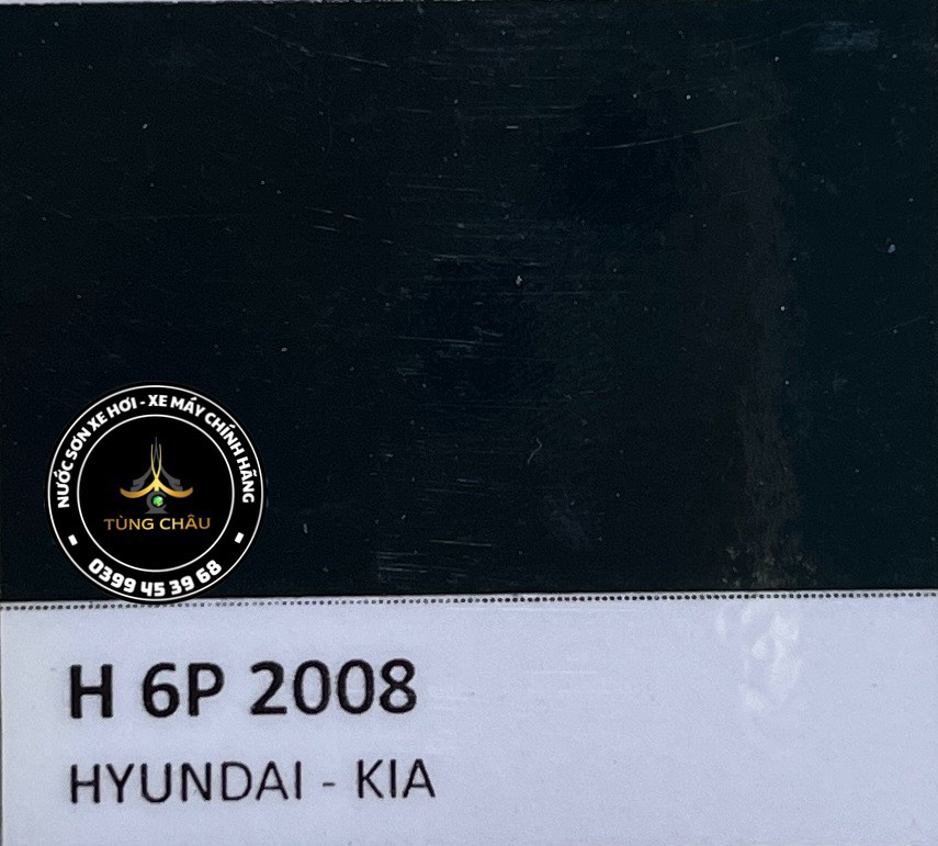 H-6P 2008 - HUYNDAI màu vỏ dưa