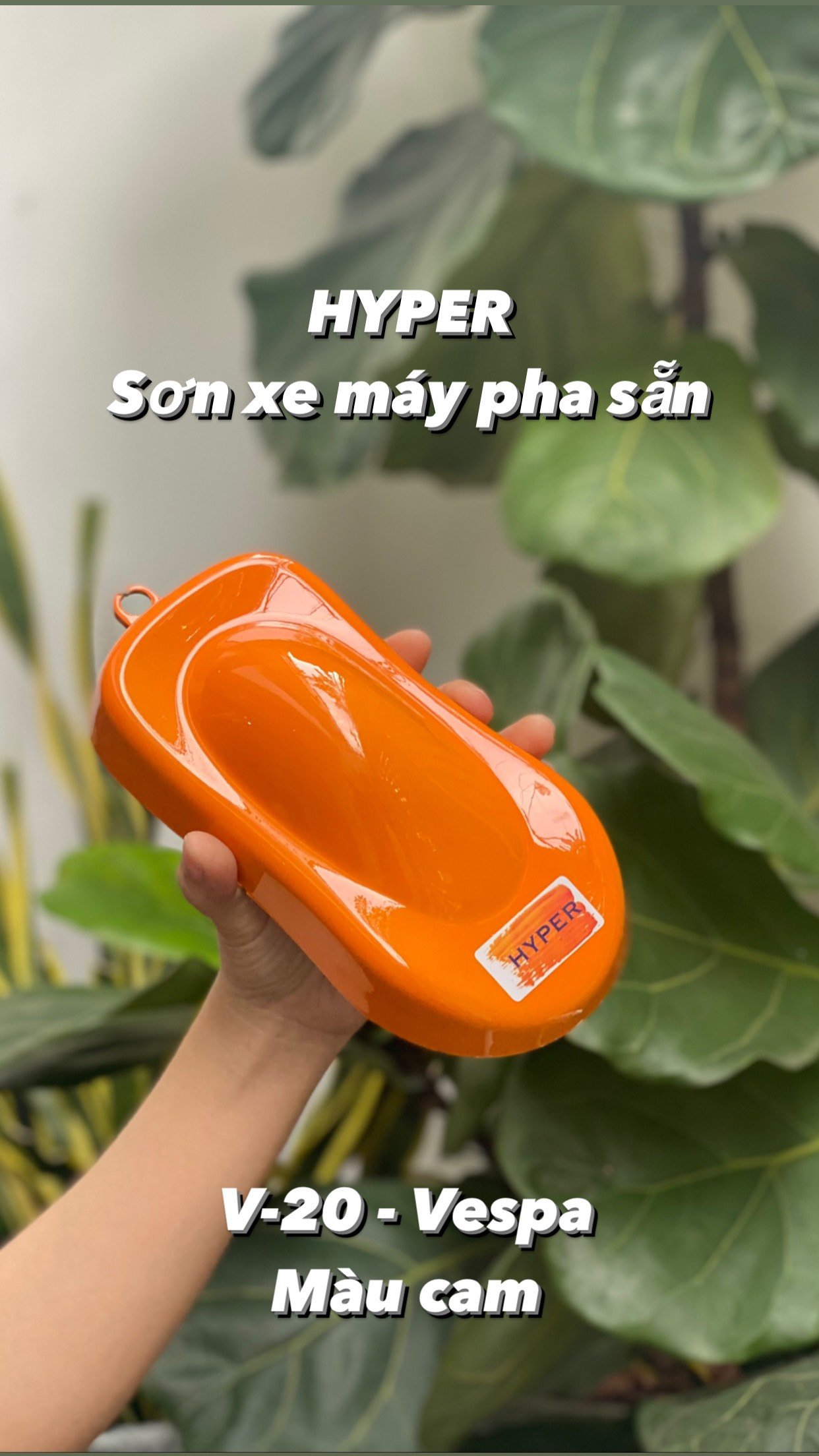 V-20 2k Màu cam vàng