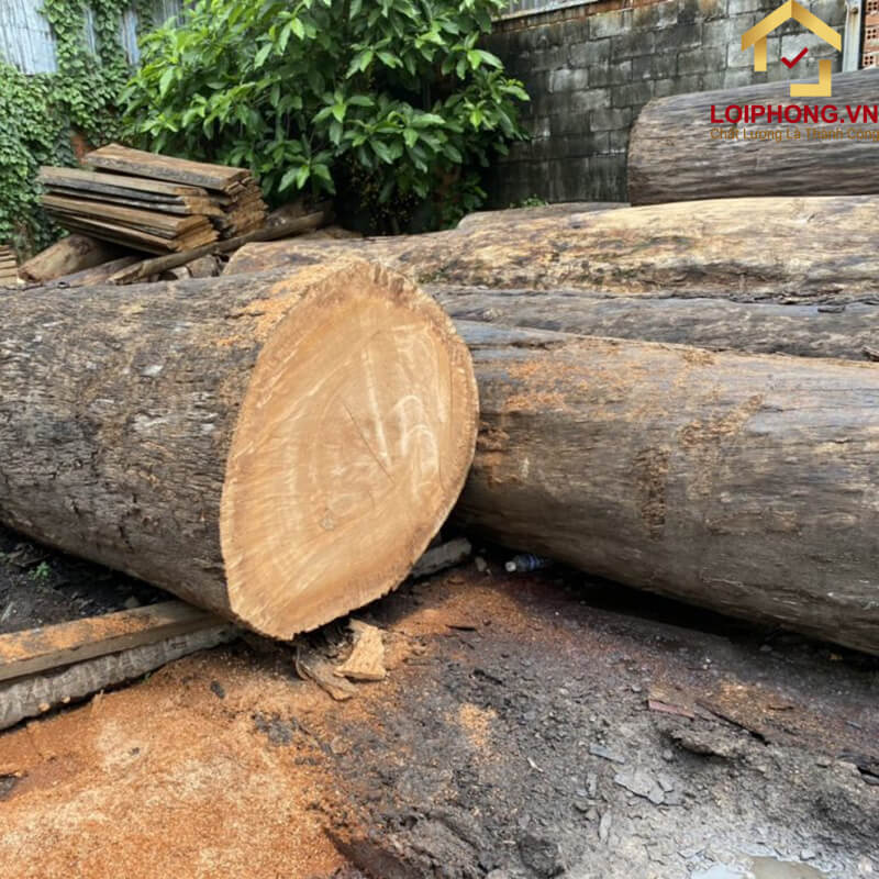 Gỗ Gụ