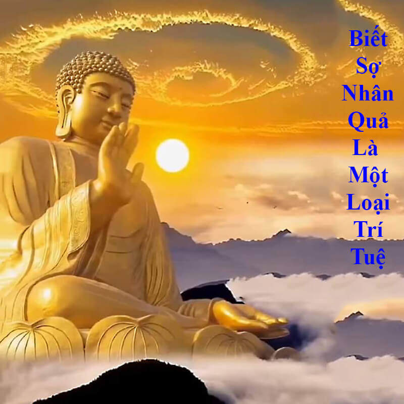Nhân quả