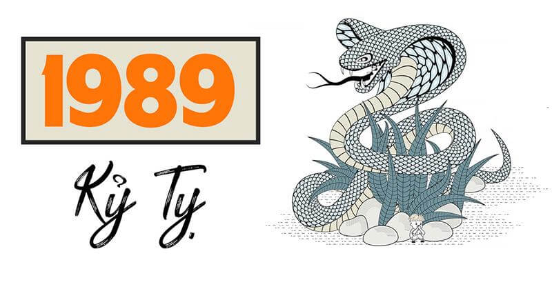 1989 mệnh gì? Tổng hợp thông tin về tuổi Kỷ Tỵ 1989