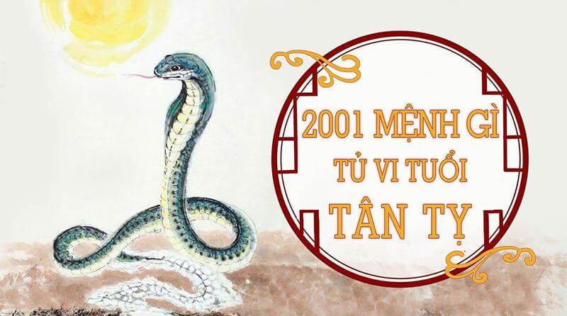 2001 mệnh gì? Tổng quan cuộc đời của nam, nữ sinh năm 2001