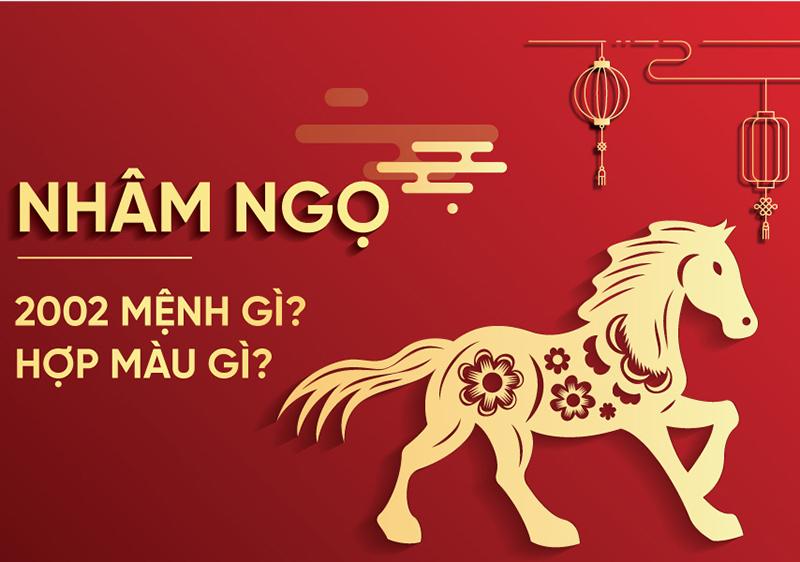 2002 mệnh gì? Tổng quan nam, nữ sinh năm Nhâm Ngọ