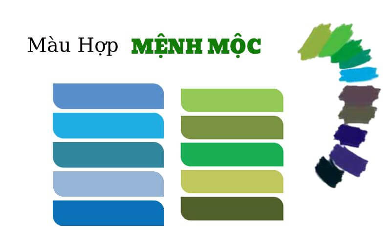 Màu sắc hợp với mệnh Mộc