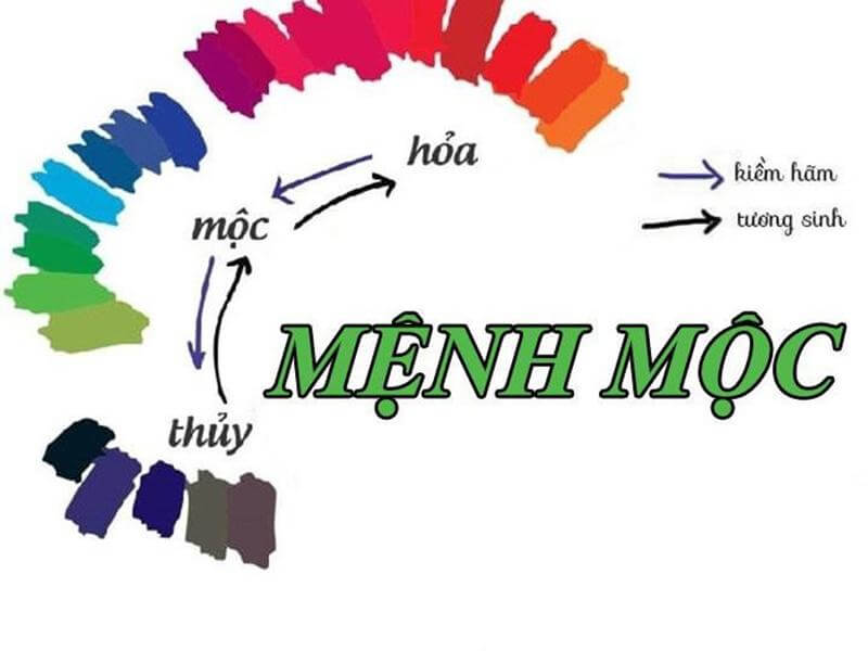 Màu sắc hợp với mệnh Mộc của tuổi 2003 Quý Mùi