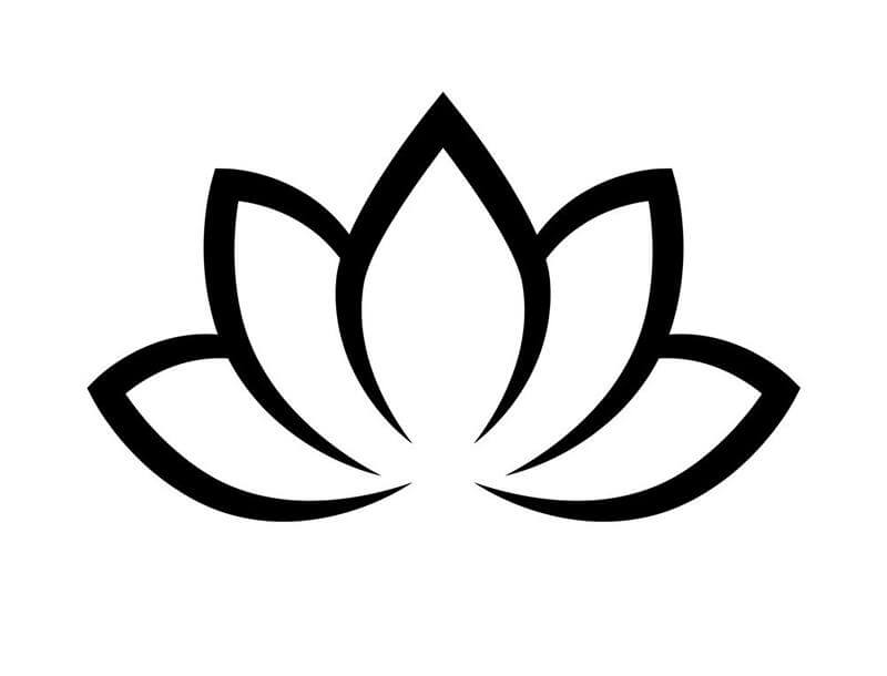 Hoa sen (Padma)