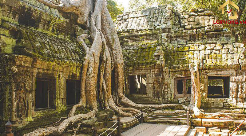 Chùa Phật giáo Angkor Wat, Campuchia