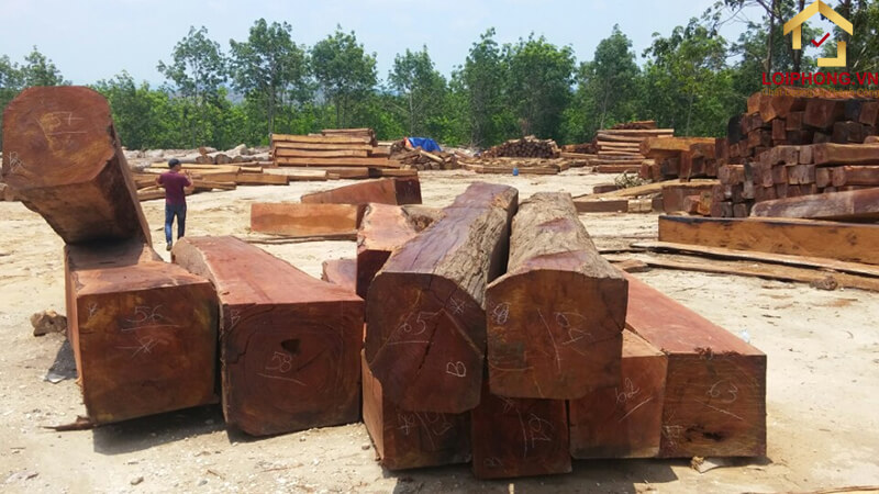 Gụ Campuchia được nhập khẩu vào Việt Nam với giá thành rẻ hơn so với gỗ trong nước