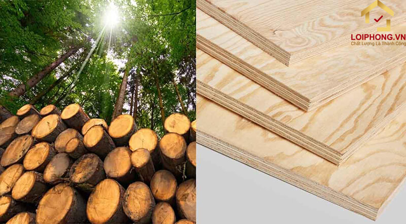 Dòng gỗ này thuộc vào nhóm IV dựa trên bảng phân loại gỗ tự nhiên của Việt Nam