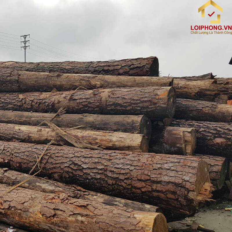 Trọng lượng của gỗ nhẹ, thân gỗ mềm giúp việc thi công được dễ dàng