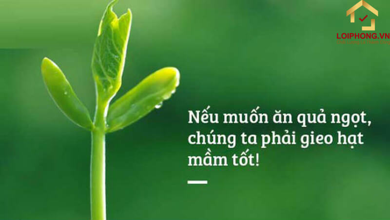 Giải đáp luật nhân quả là gì?