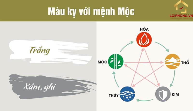 Màu sắc kỵ với mệnh Mộc