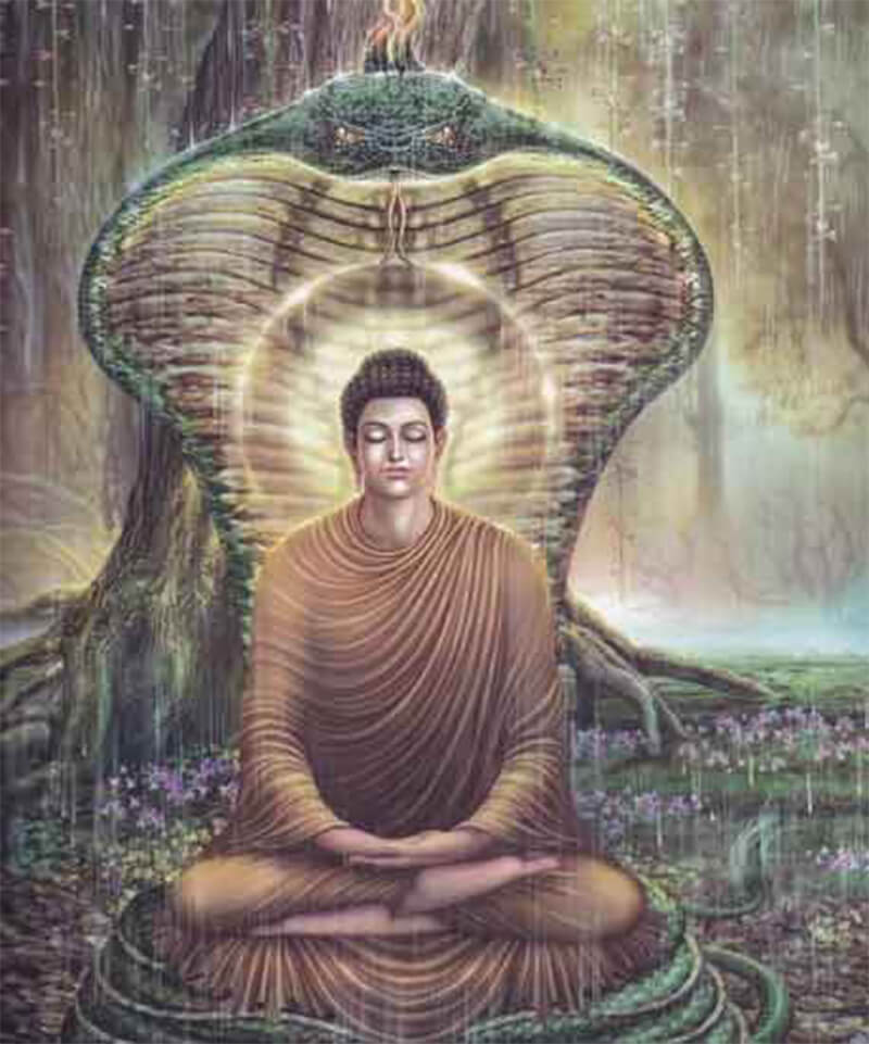 Thần rắn Naga dùng thân che mưa cho Đức Phật Thích Ca
