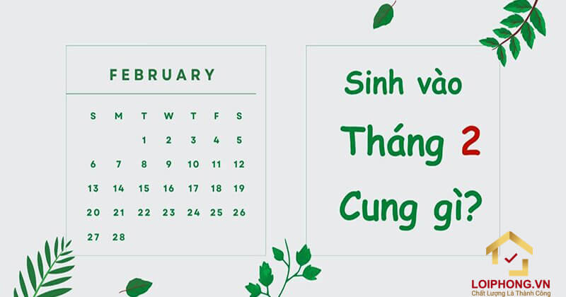 Giải mã câu hỏi tháng 2 cung gì đầy đủ và chi tiết nhất